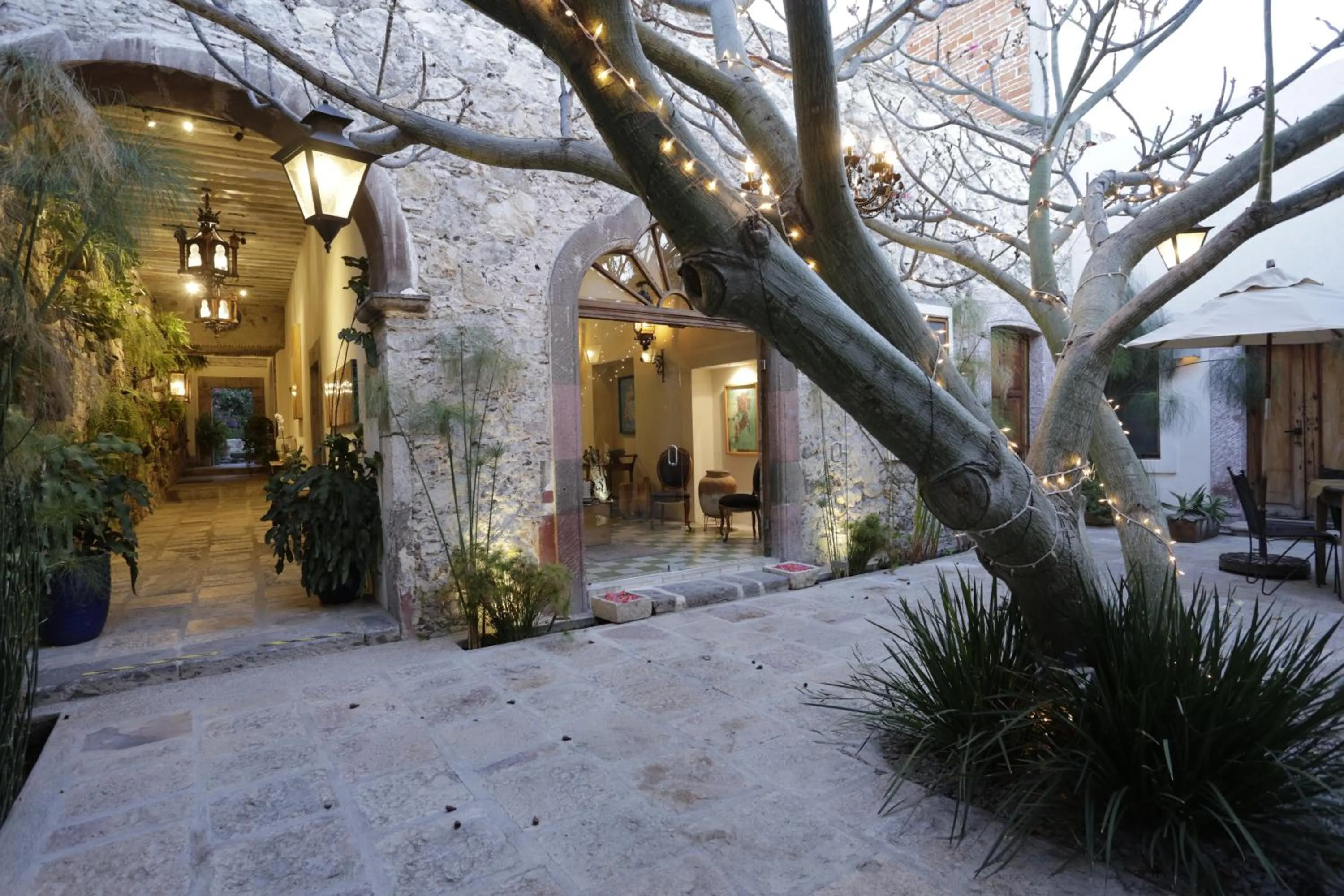 Property building in Orchid House San Miguel de Allende
