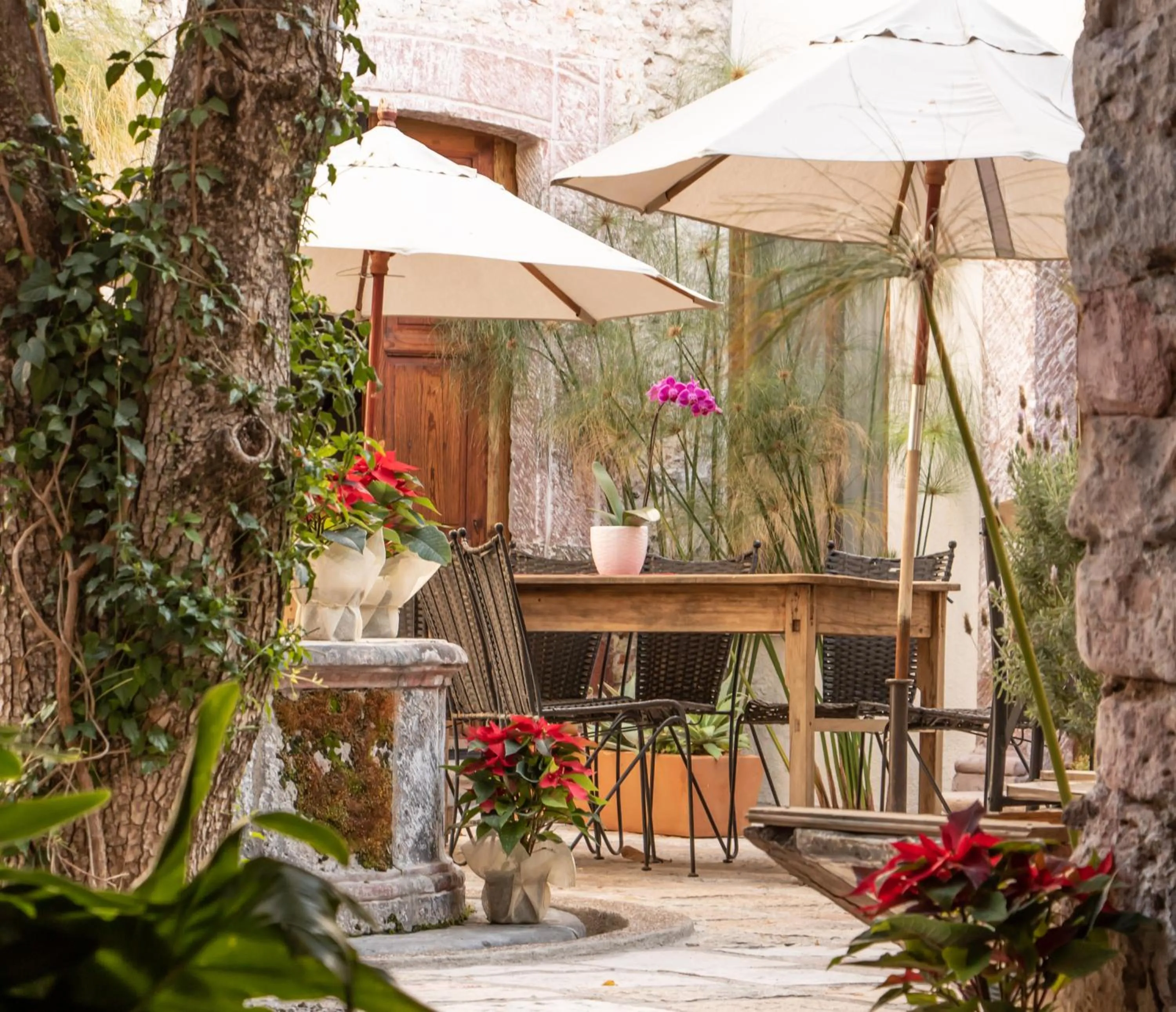 Patio in Orchid House San Miguel de Allende