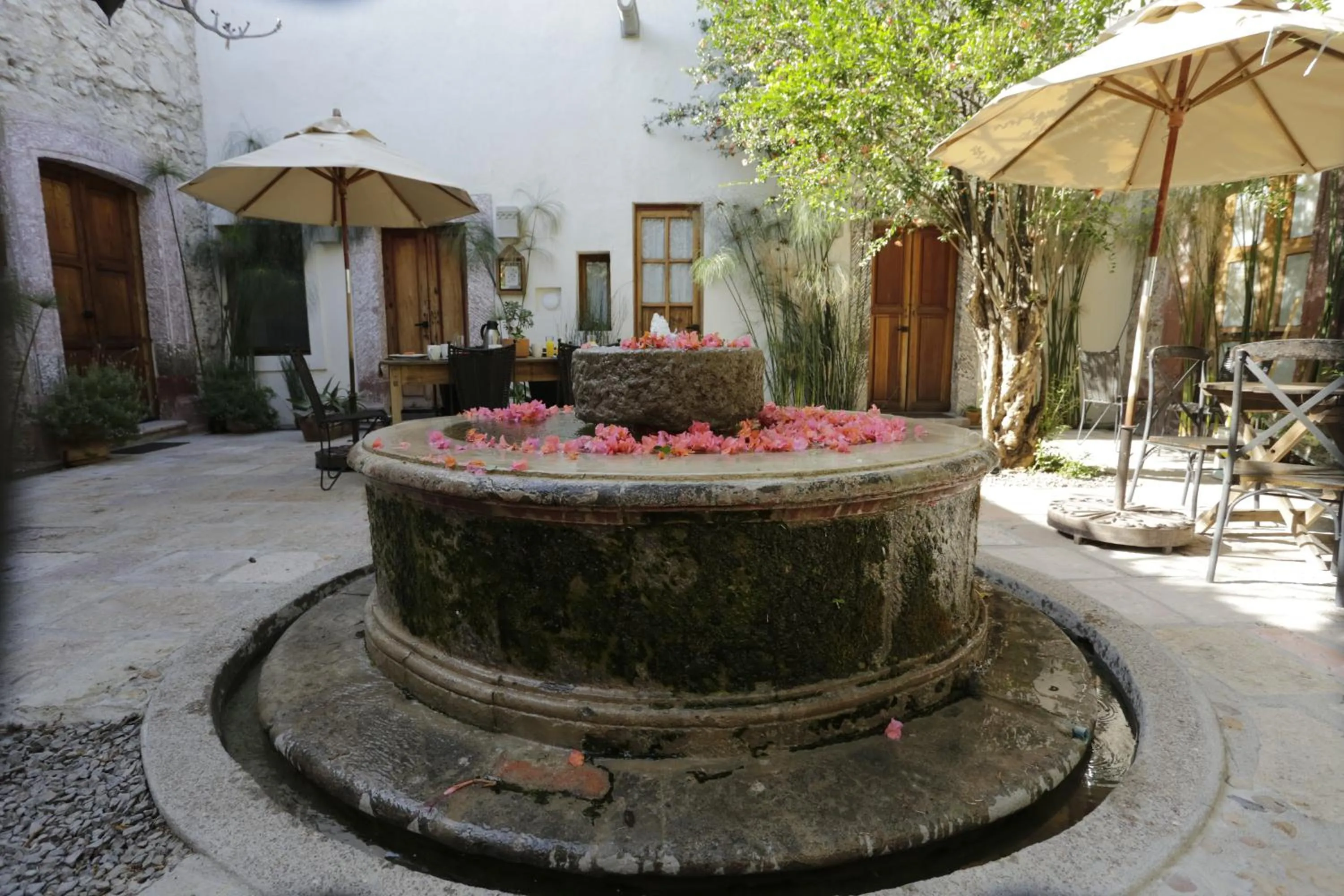 Property building in Orchid House San Miguel de Allende