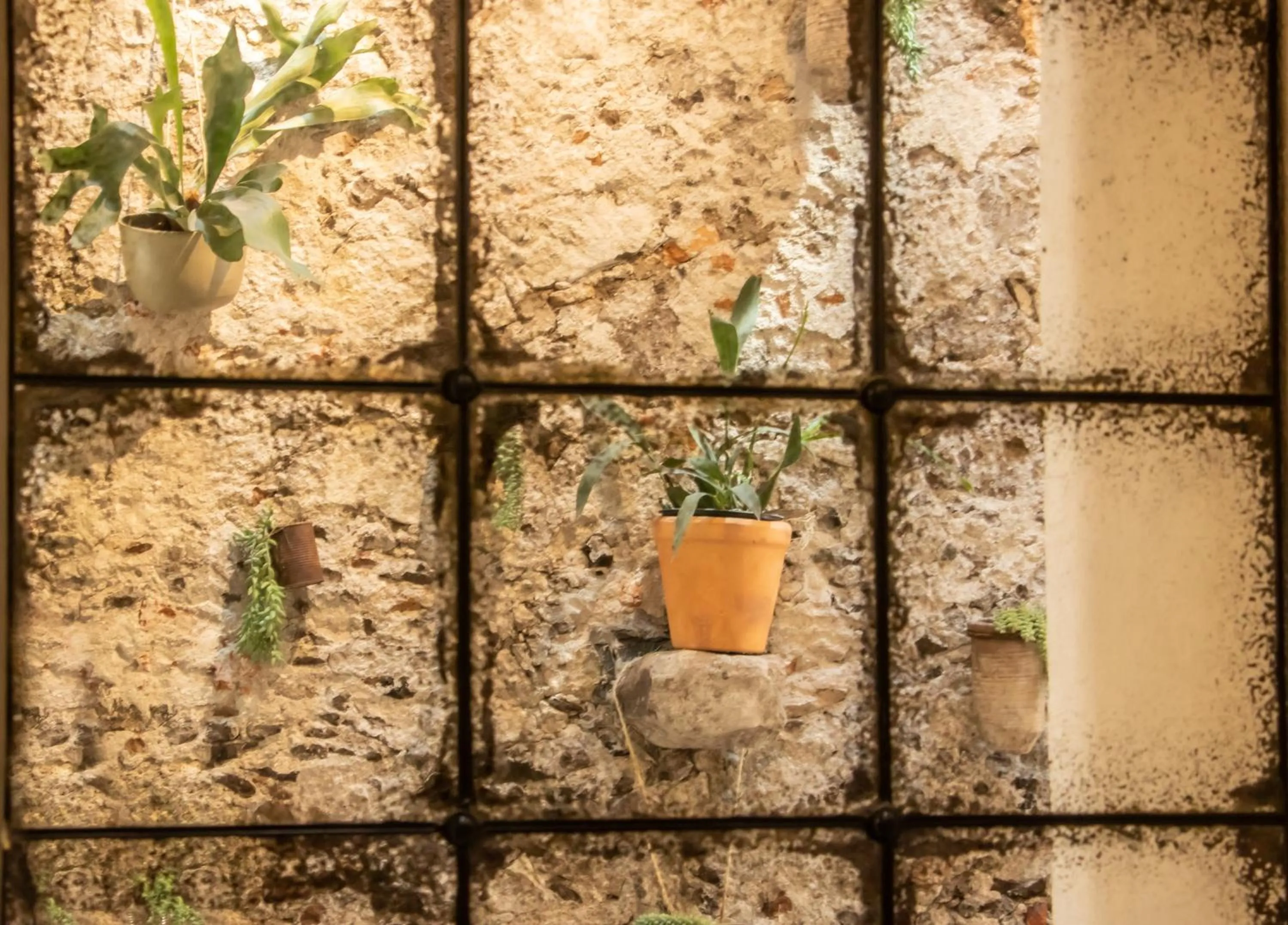 Decorative detail in Orchid House San Miguel de Allende