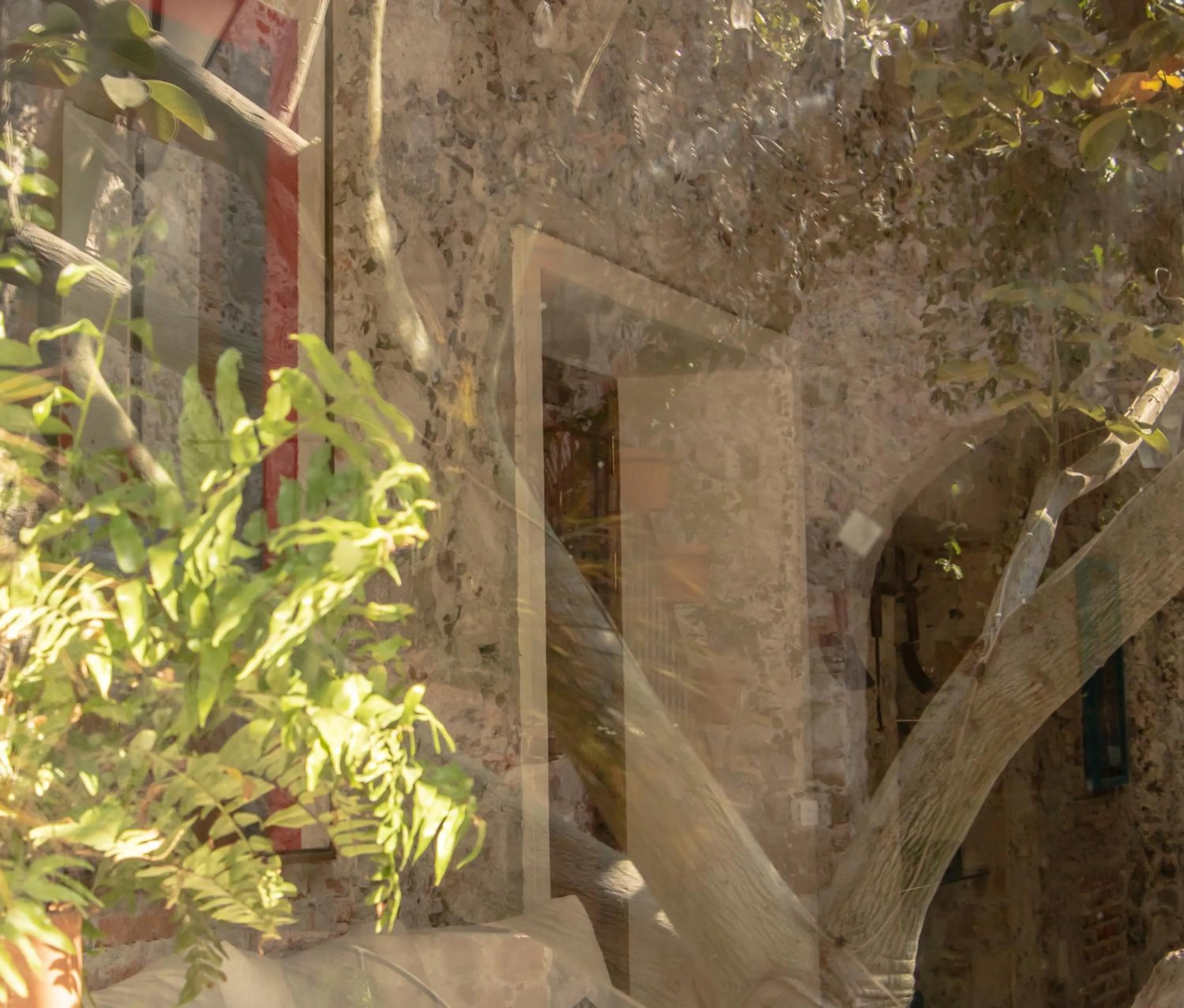 Garden view in Orchid House San Miguel de Allende