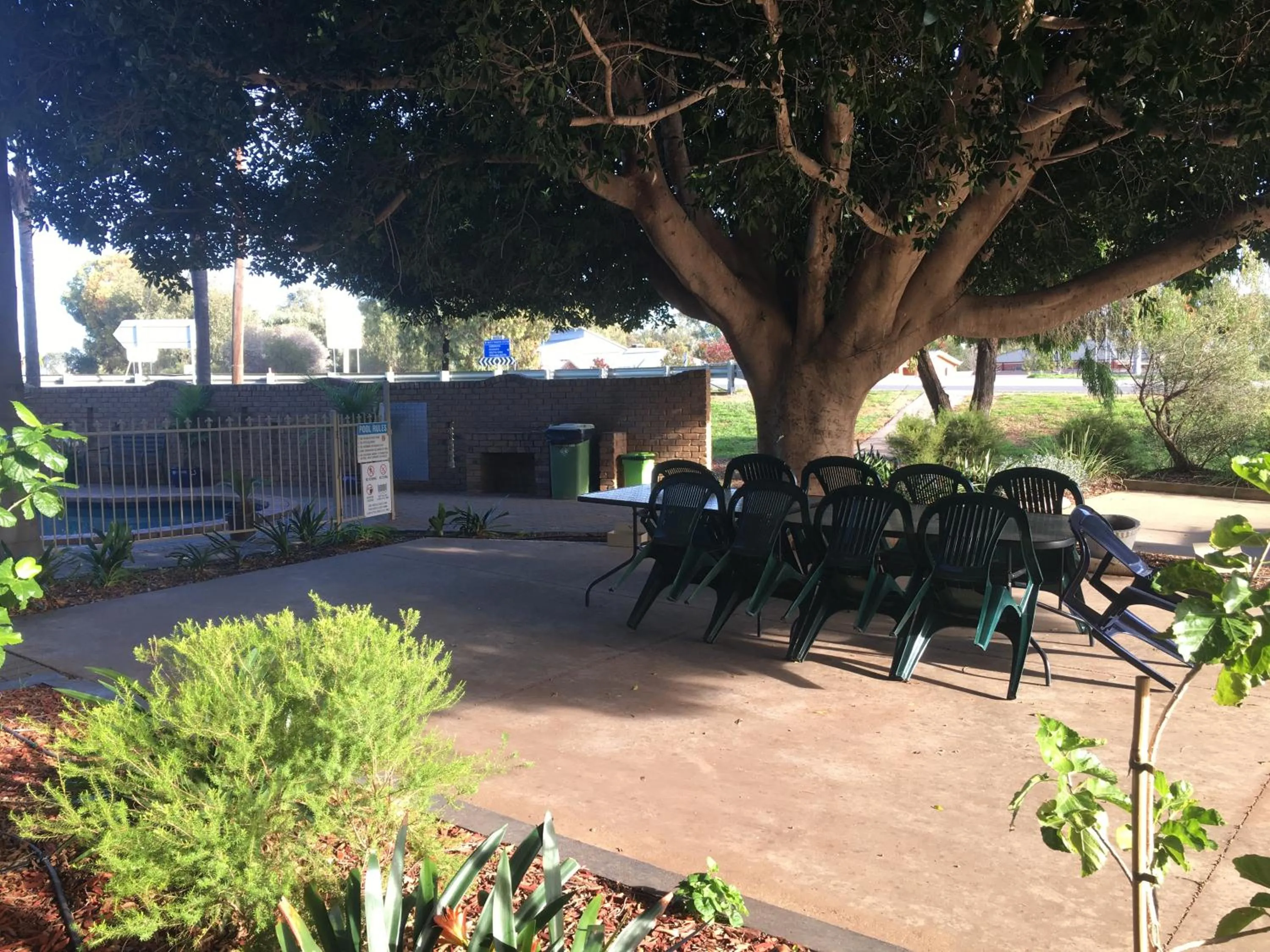 Garden in Darling Junction Motor Inn