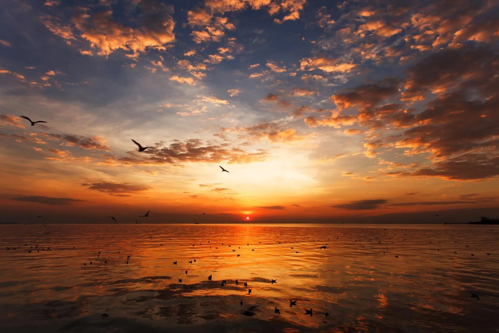 Sunset in Villa Roca Boutique Resort & Suites - ADULT ONLY