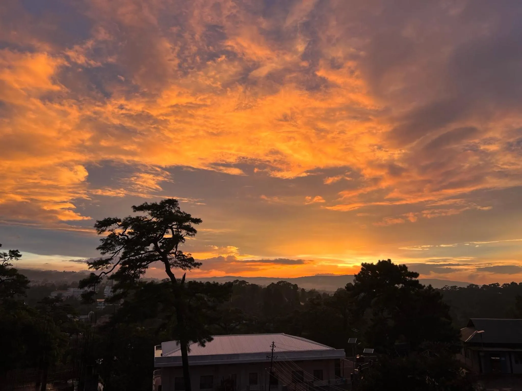 View (from property/room) in The Living Roof