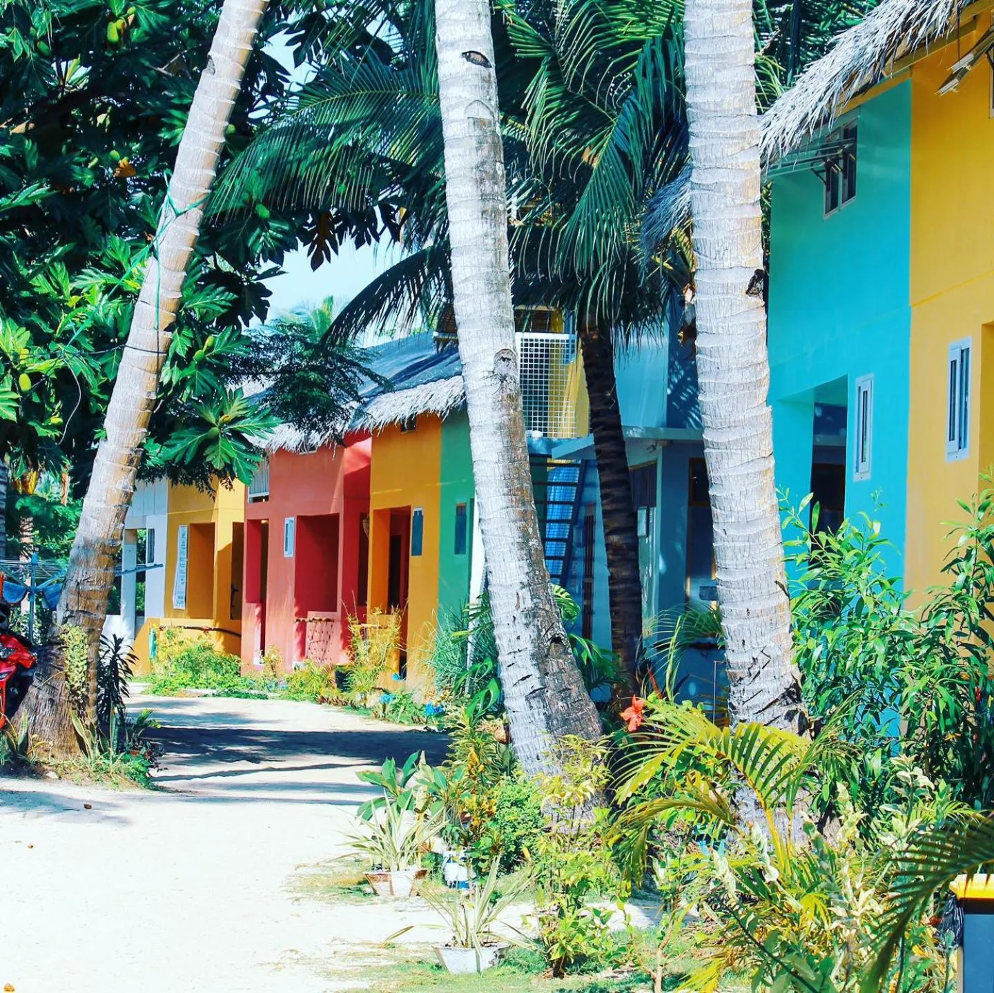 Garden view in In Dai Aquasports and Beach Resort