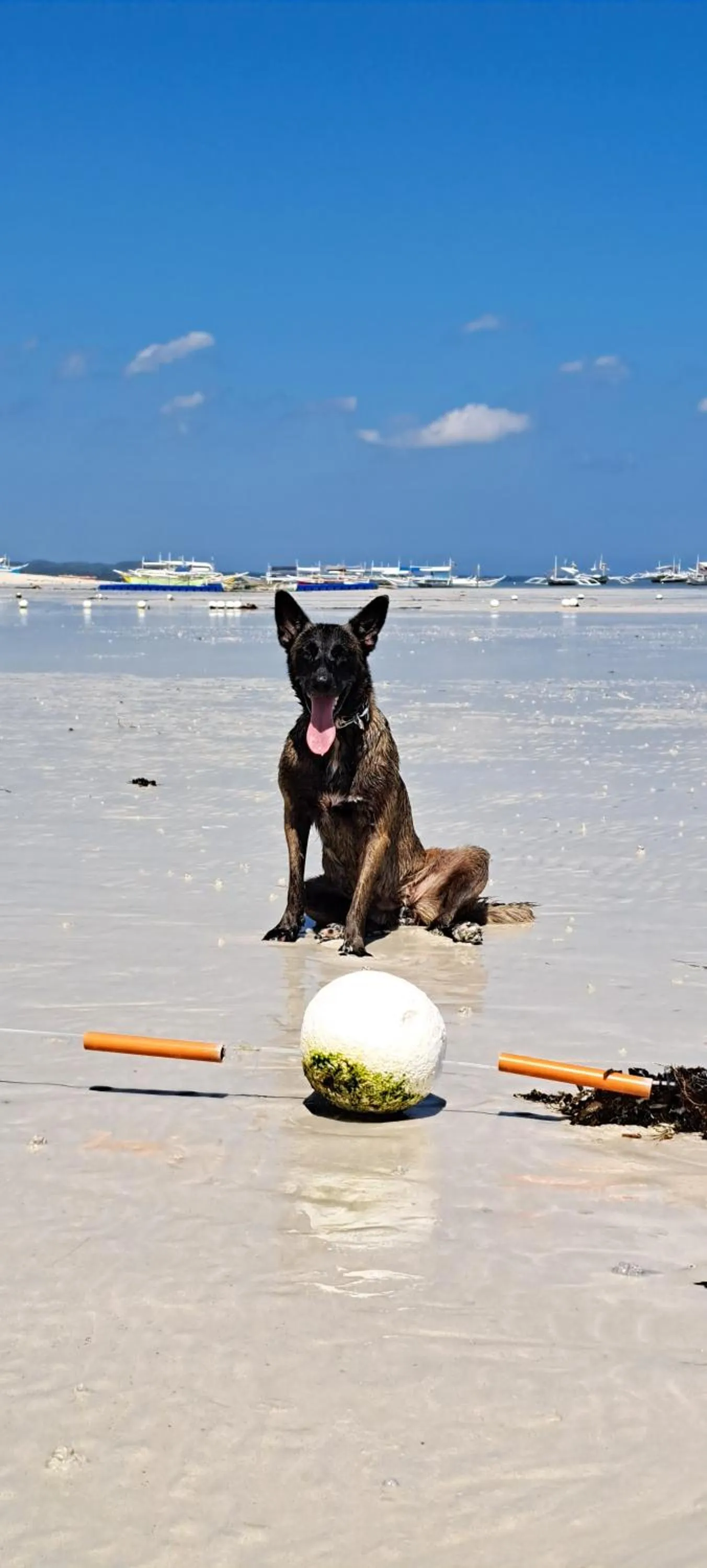 Beach in In Dai Aquasports and Beach Resort