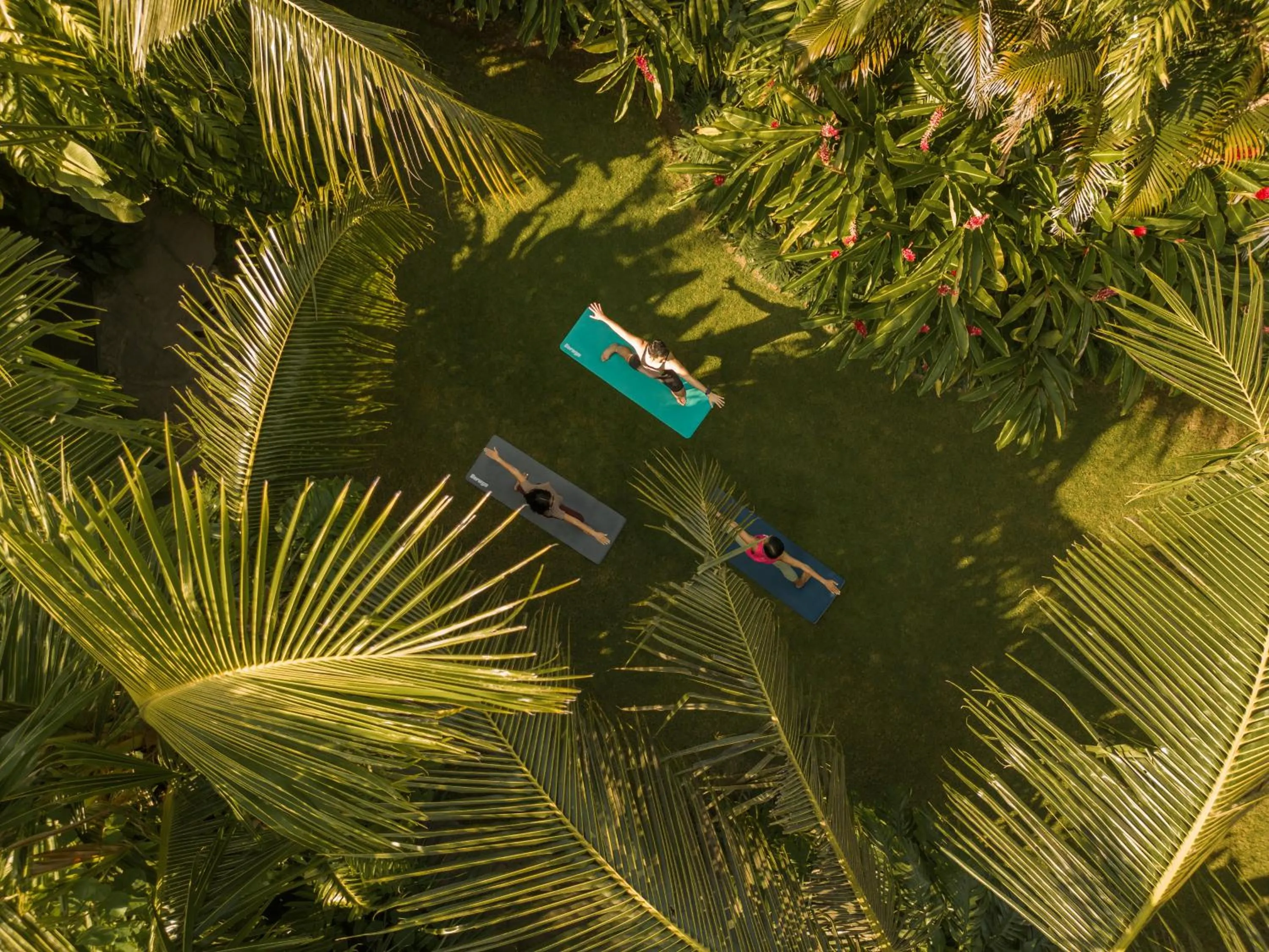 Activities in Desa Hay Canggu