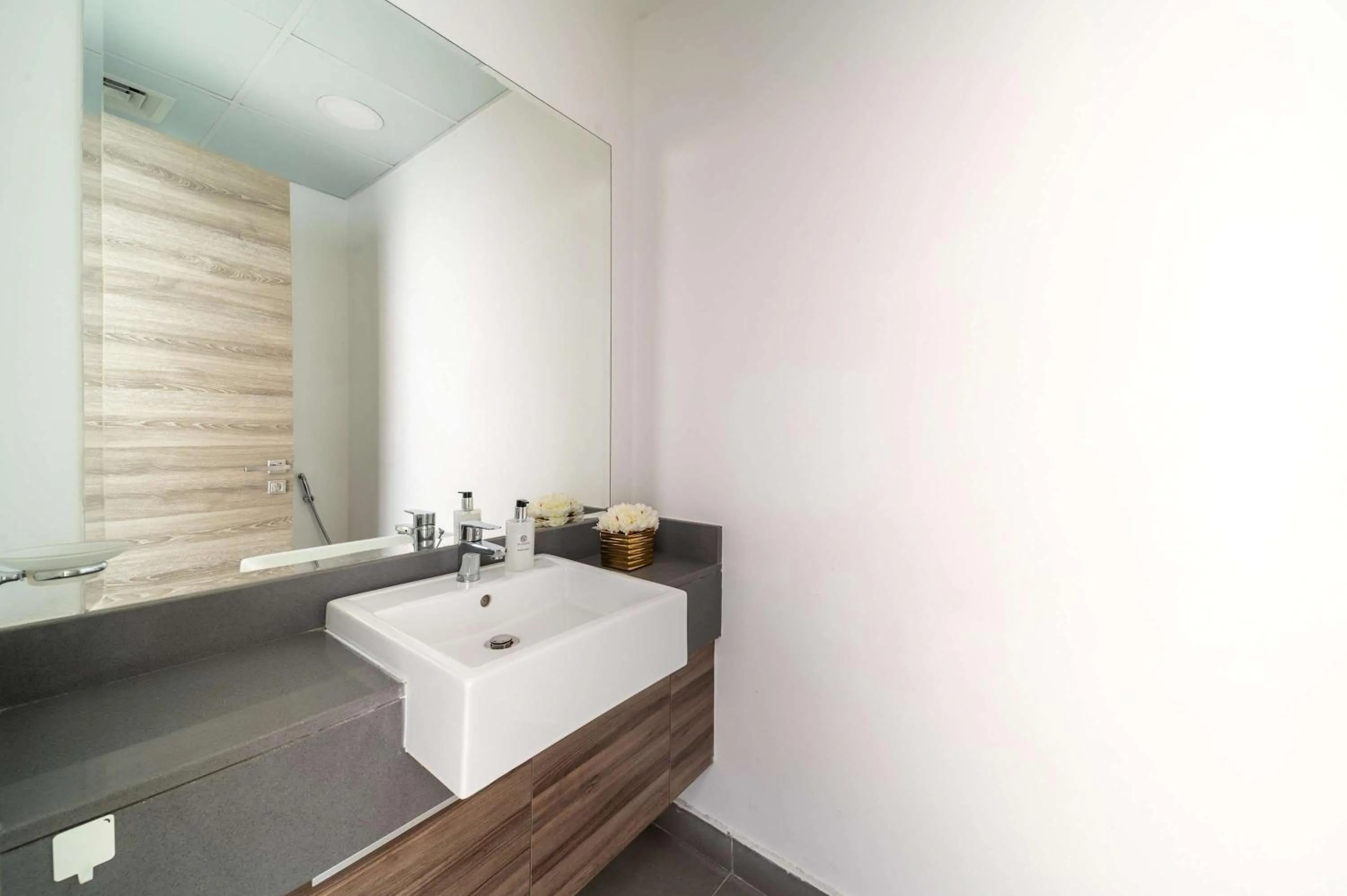 Frank Porter - Bloom Heights