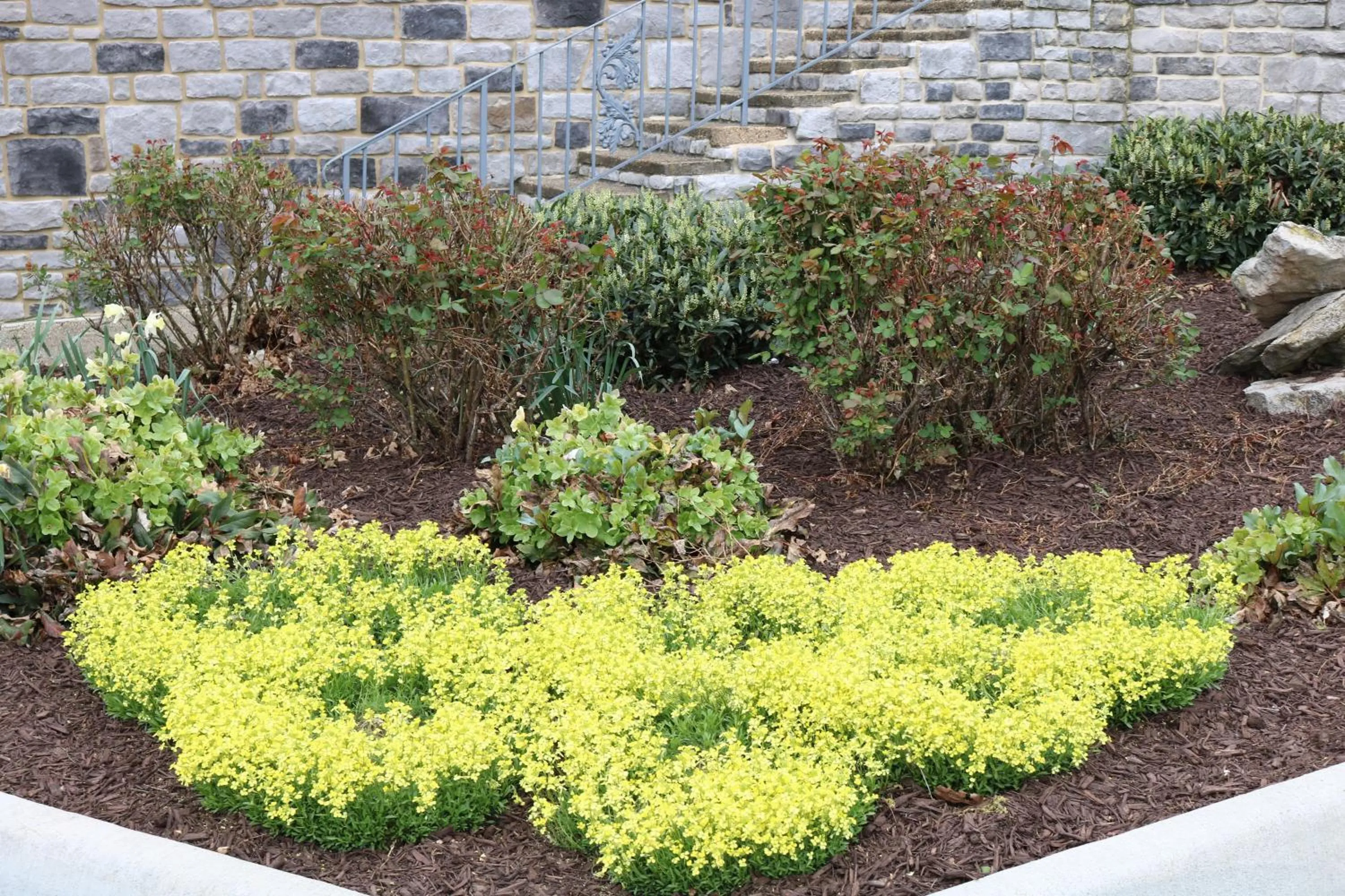 Garden view in The Village Inn