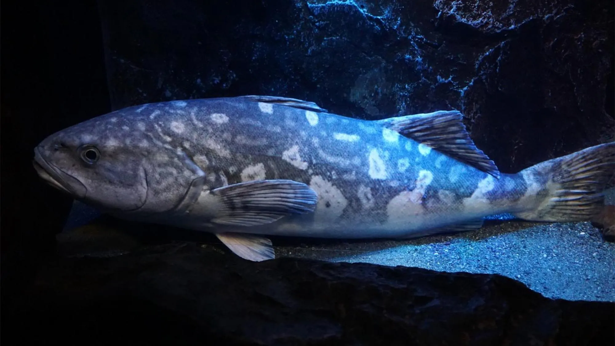 Nearby landmark in Toyoko Inn Fujisan Numazu eki Kita guchi No 1