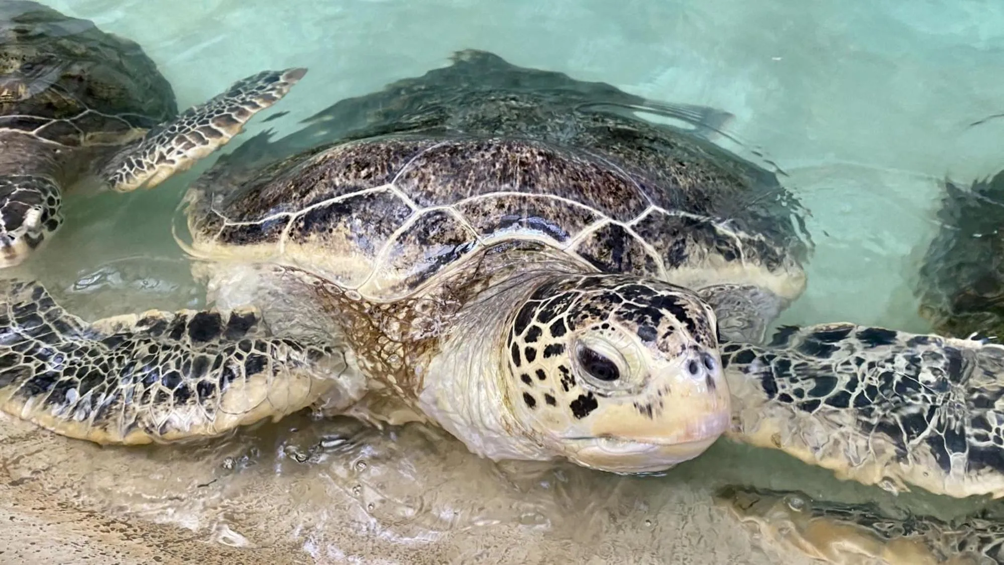 Nearby landmark in Toyoko Inn Fujisan Numazu eki Kita guchi No 2