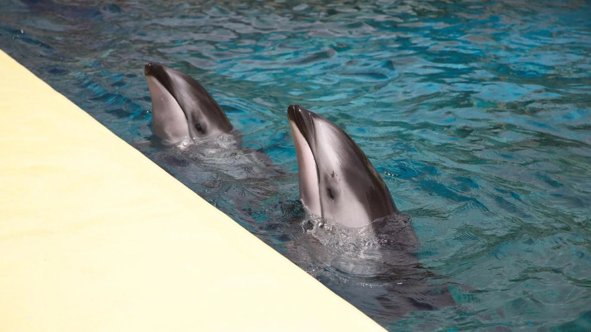 Nearby landmark in Toyoko Inn Fujisan Numazu eki Kita guchi No 2