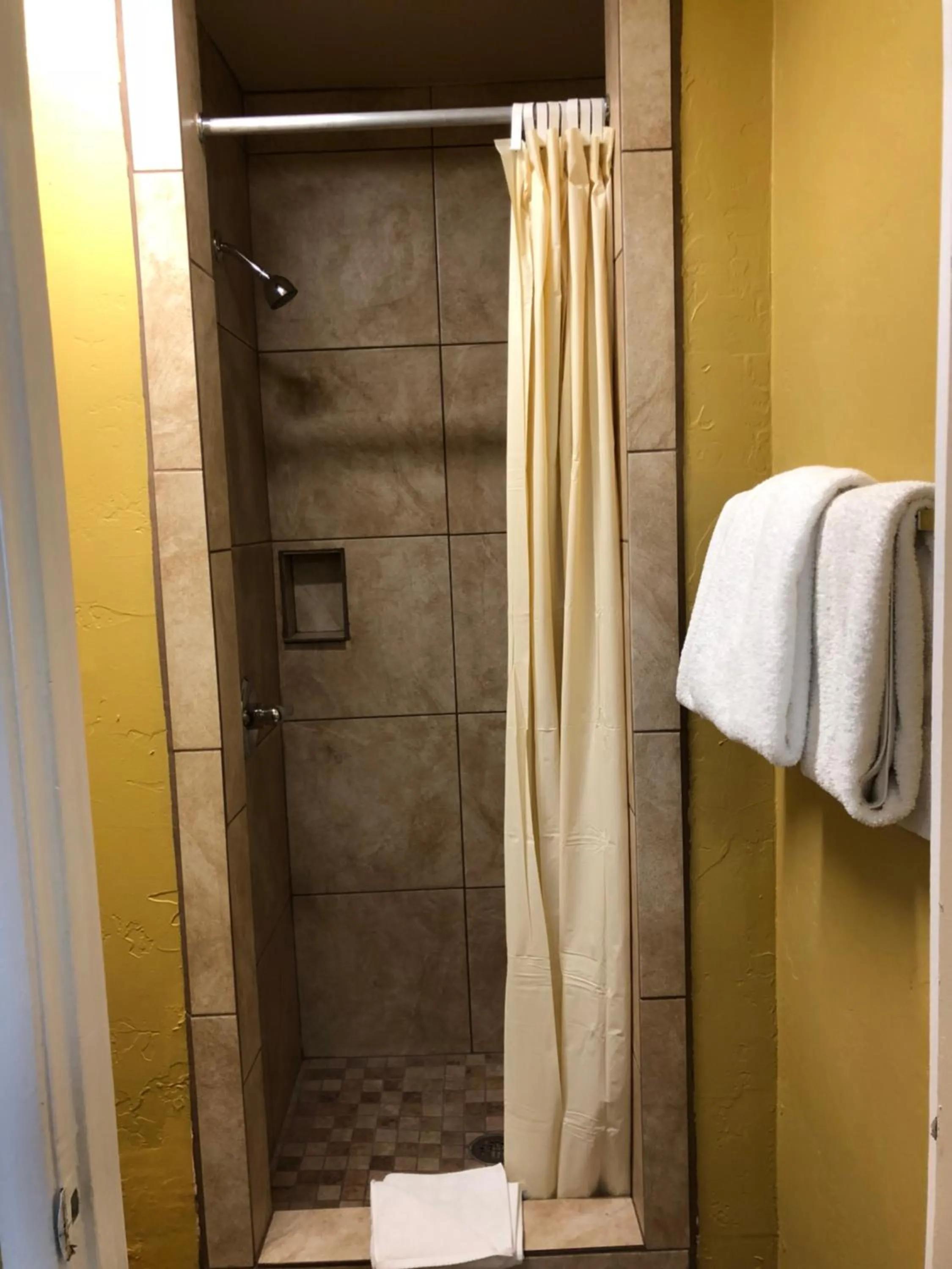 Shower in Holland Inn & Suites
