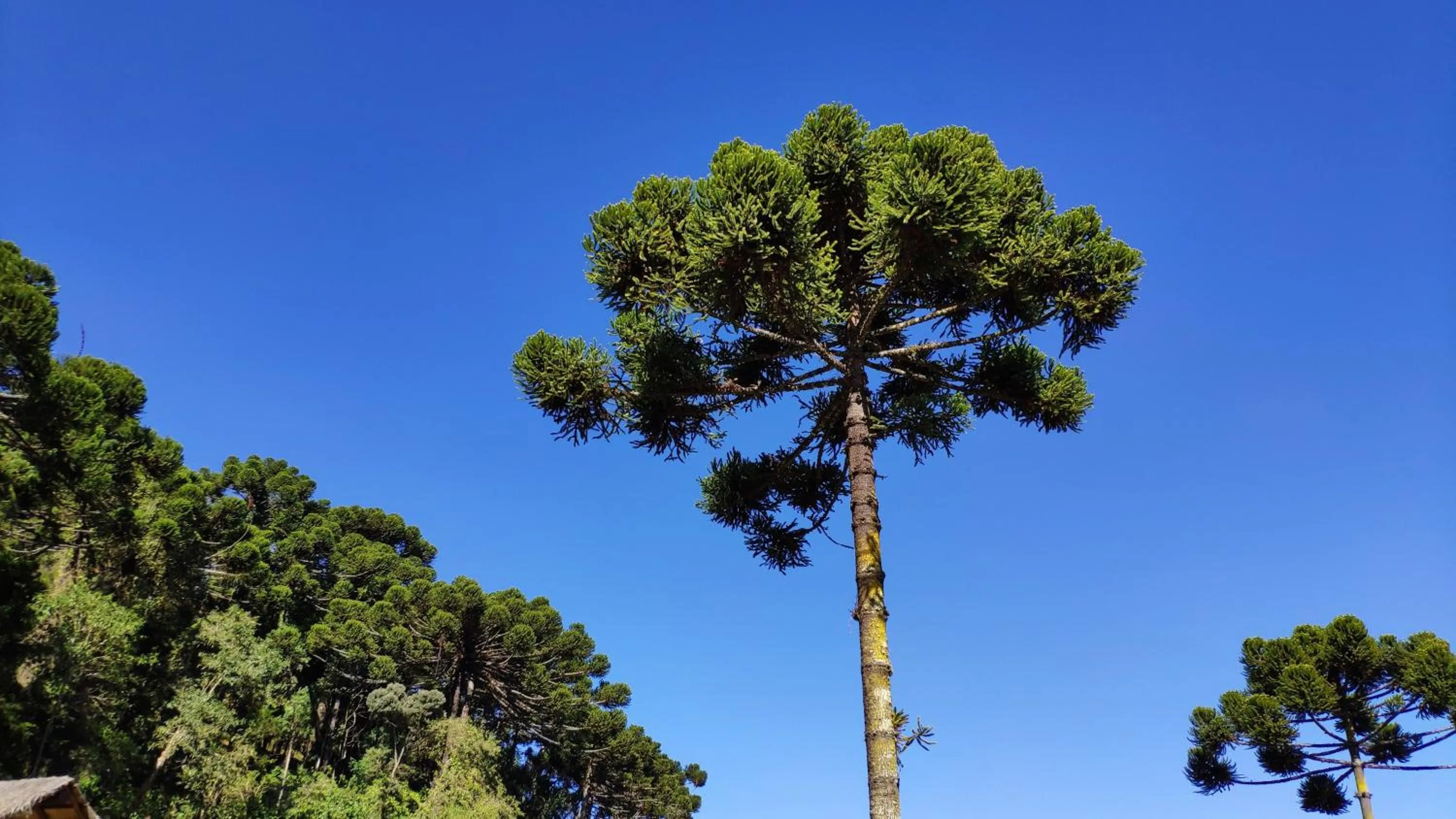 Natural landscape in Pousada Recanto Feliz