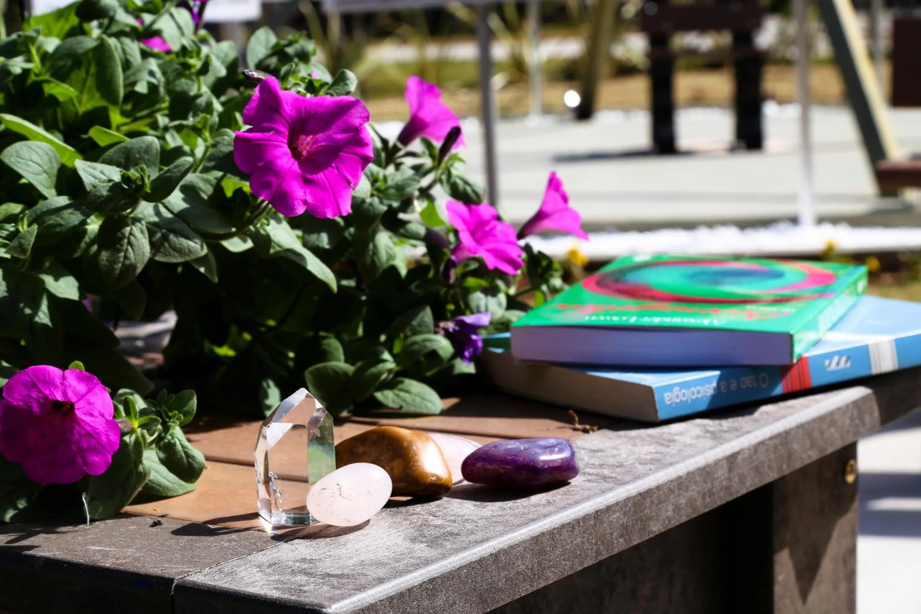 Garden in Pousada Recanto Feliz