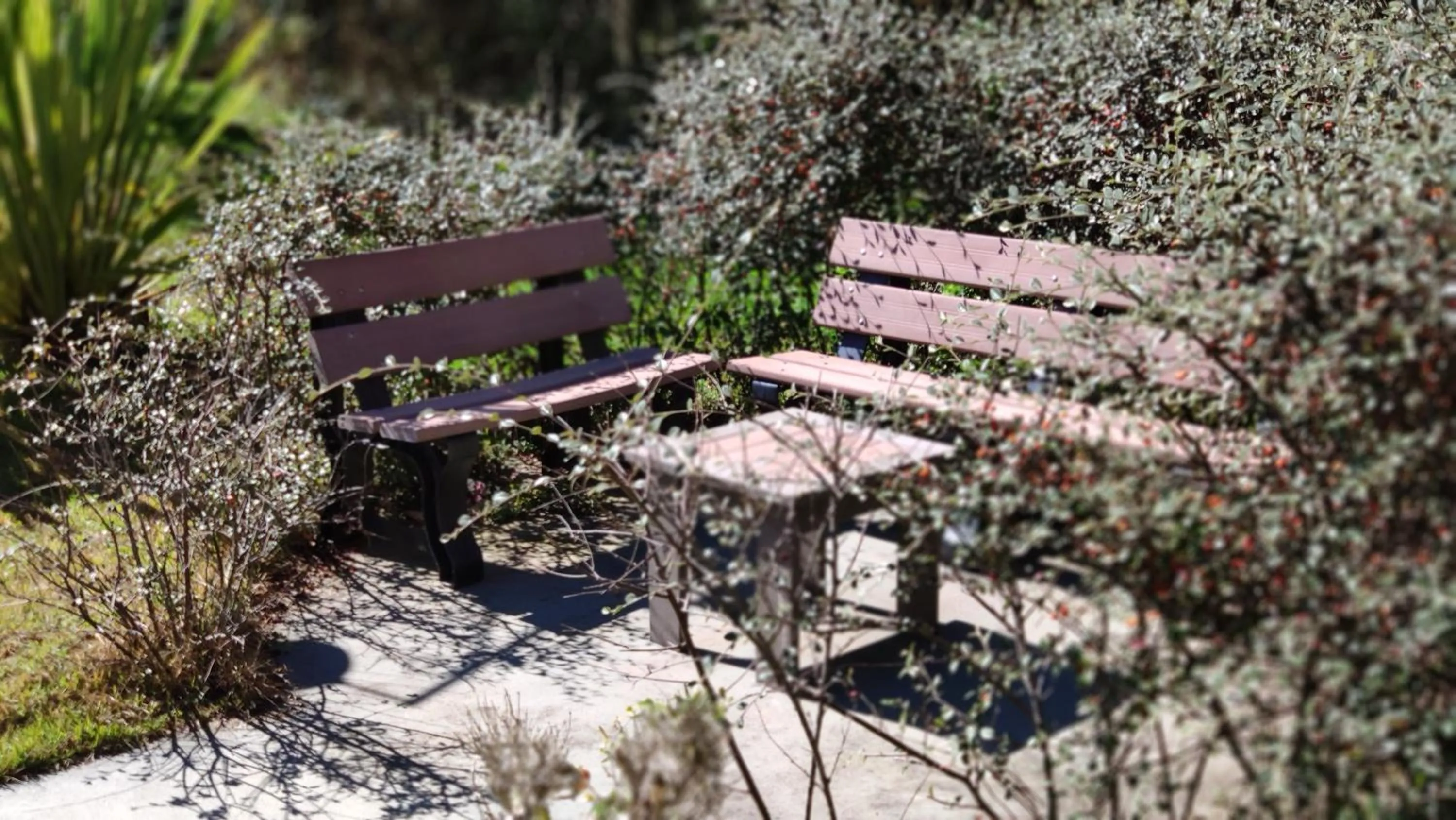 Garden in Pousada Recanto Feliz