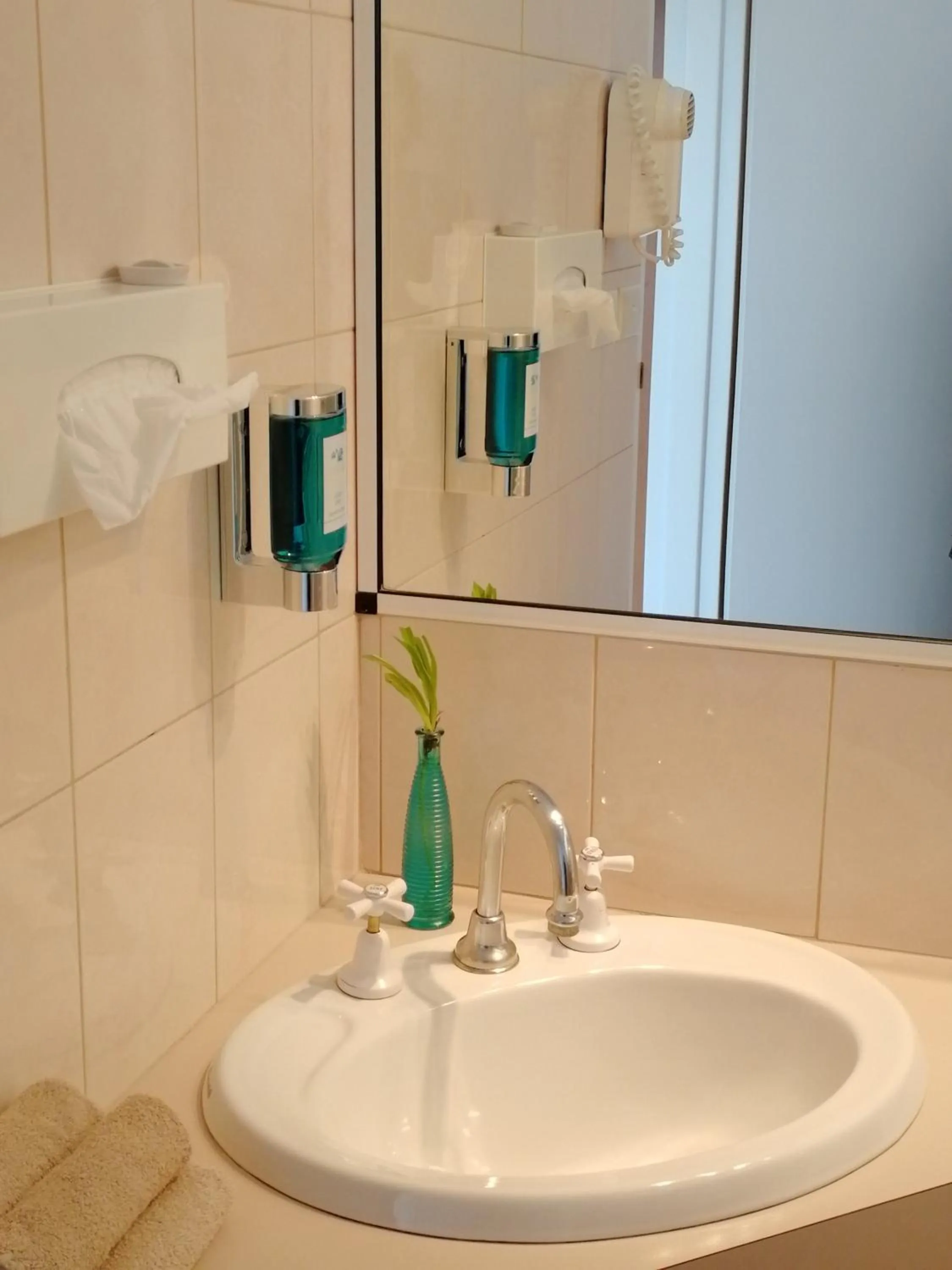 Toilet in Banjo Paterson Motor Inn