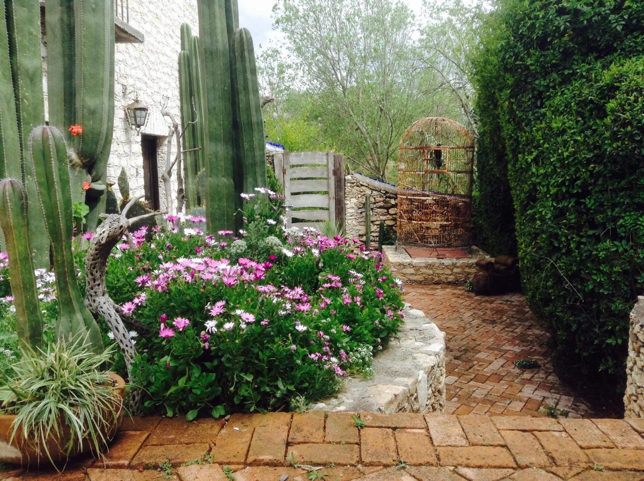 Garden in Hotel Secreto