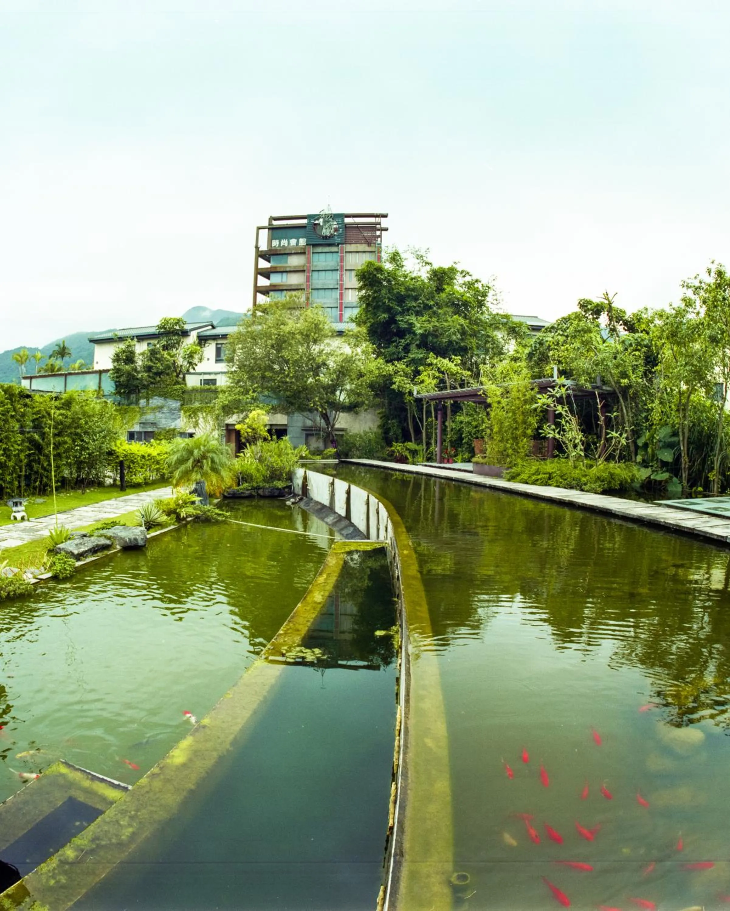 Area and facilities in Hofi Villa