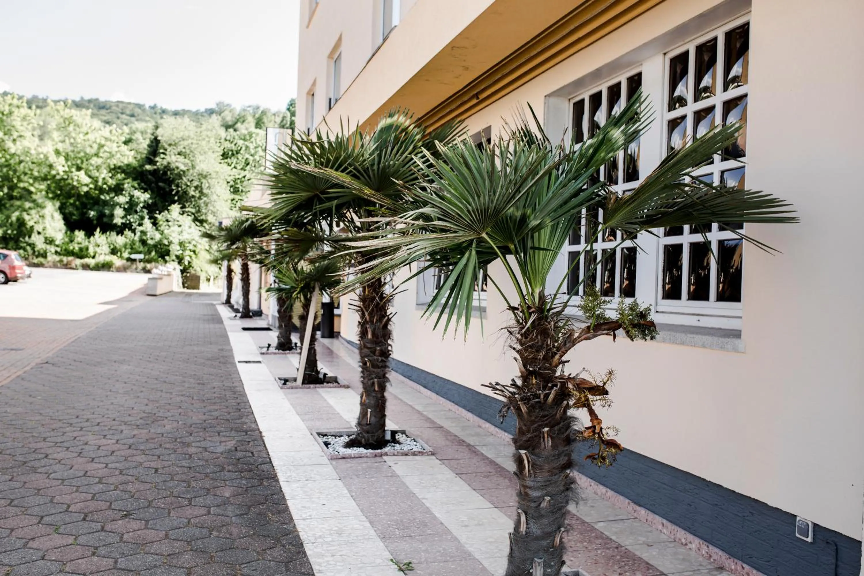 Facade/entrance in Bach Hotel
