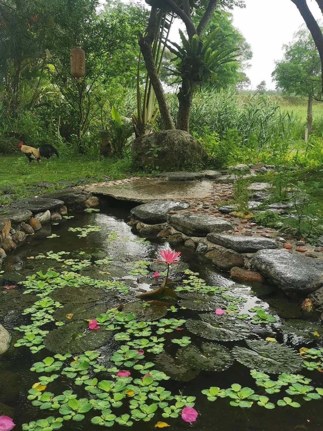 Beautiful Yilan Resort