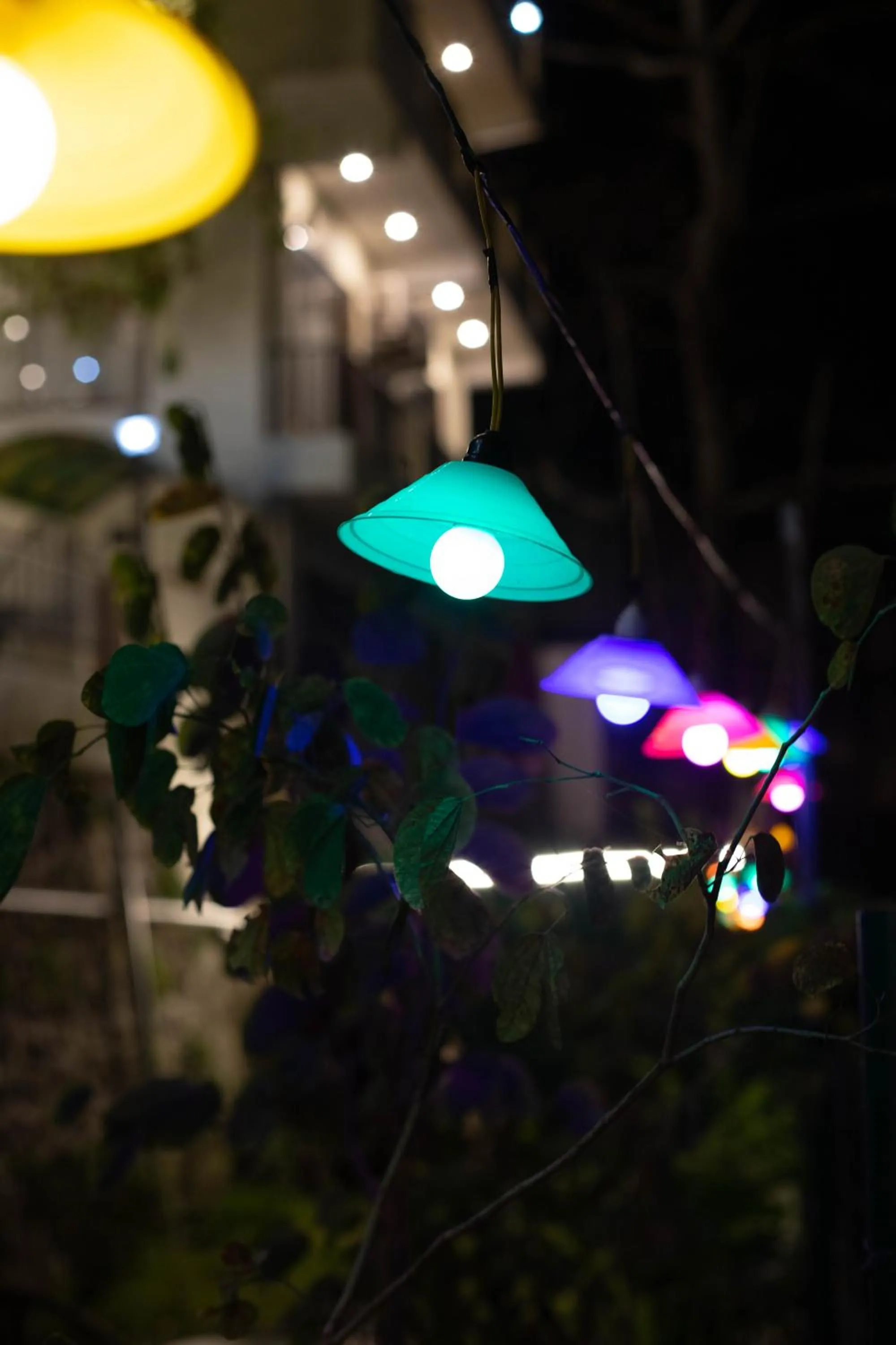 Night in Yogved Hospitality & Resort