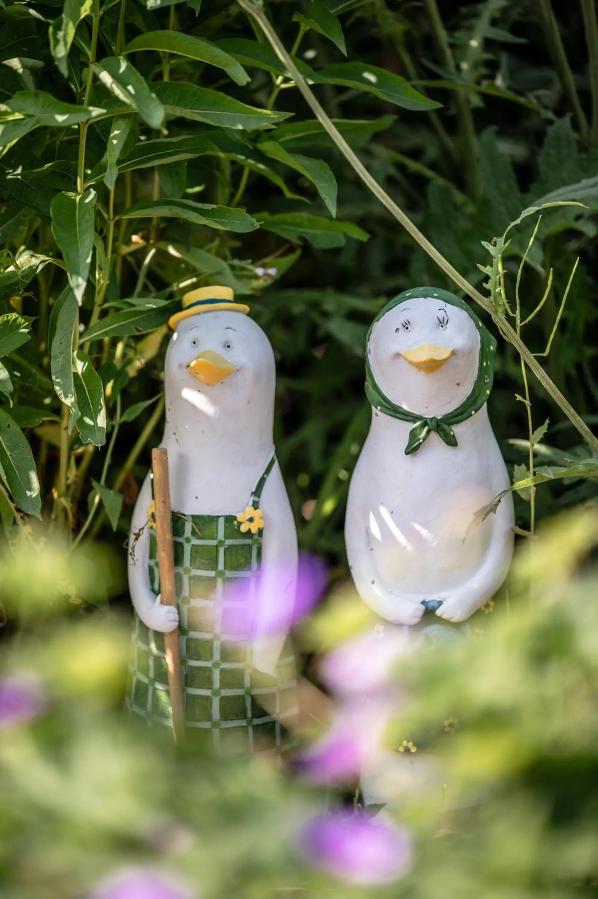Garden in Hotel der Wiesenhof