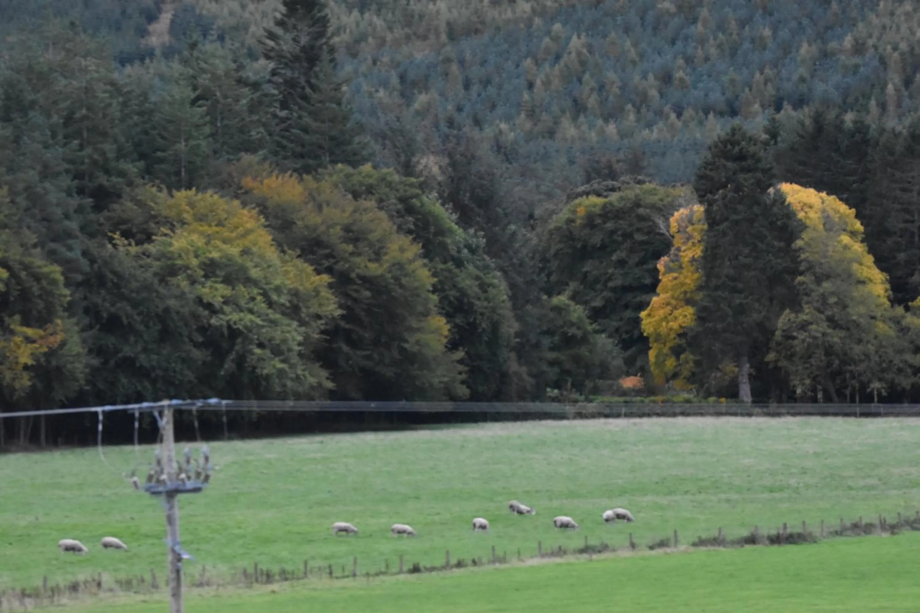 Natural landscape in The Tushielaw Inn