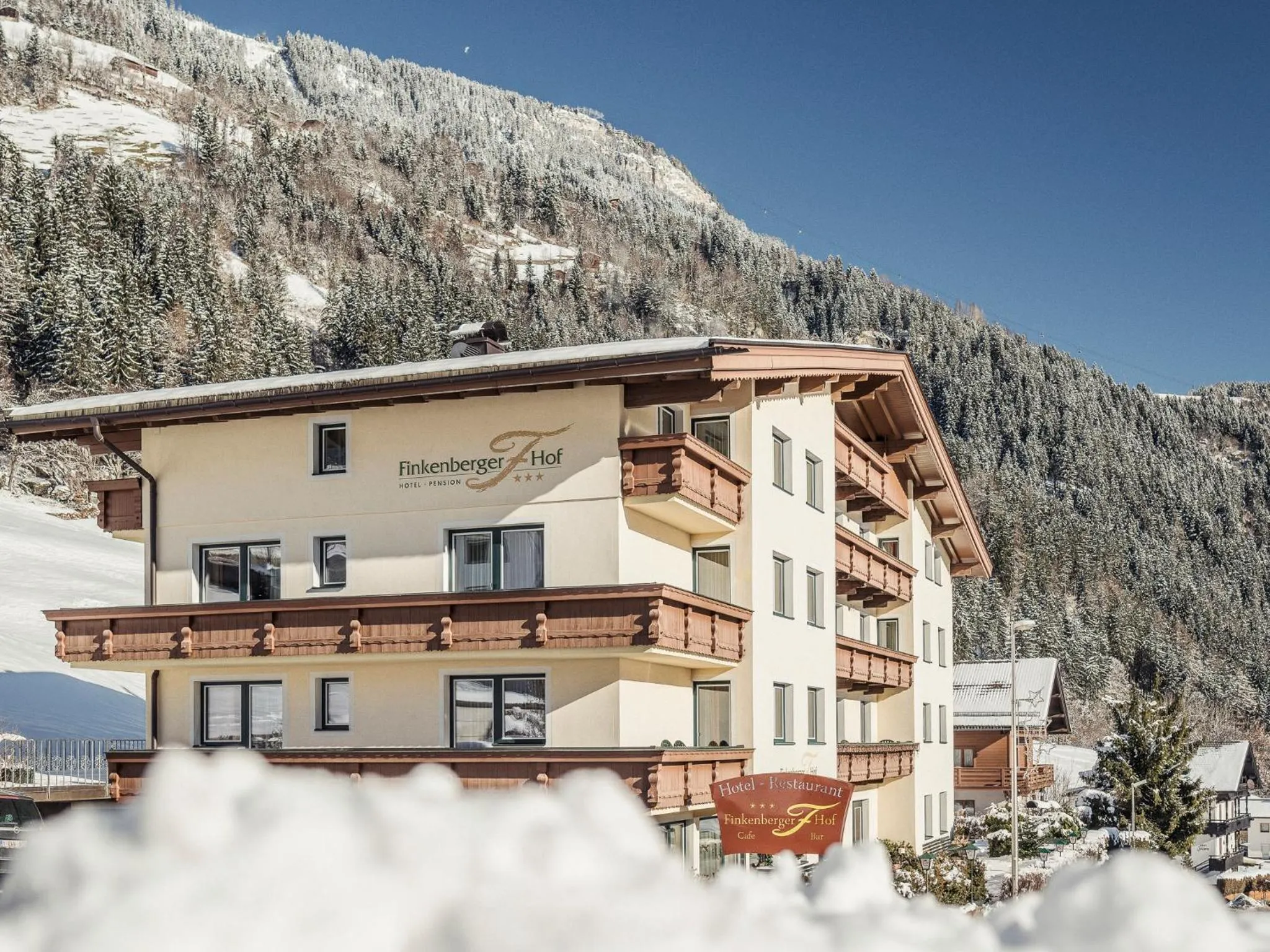 Winter in Hotel Finkenbergerhof