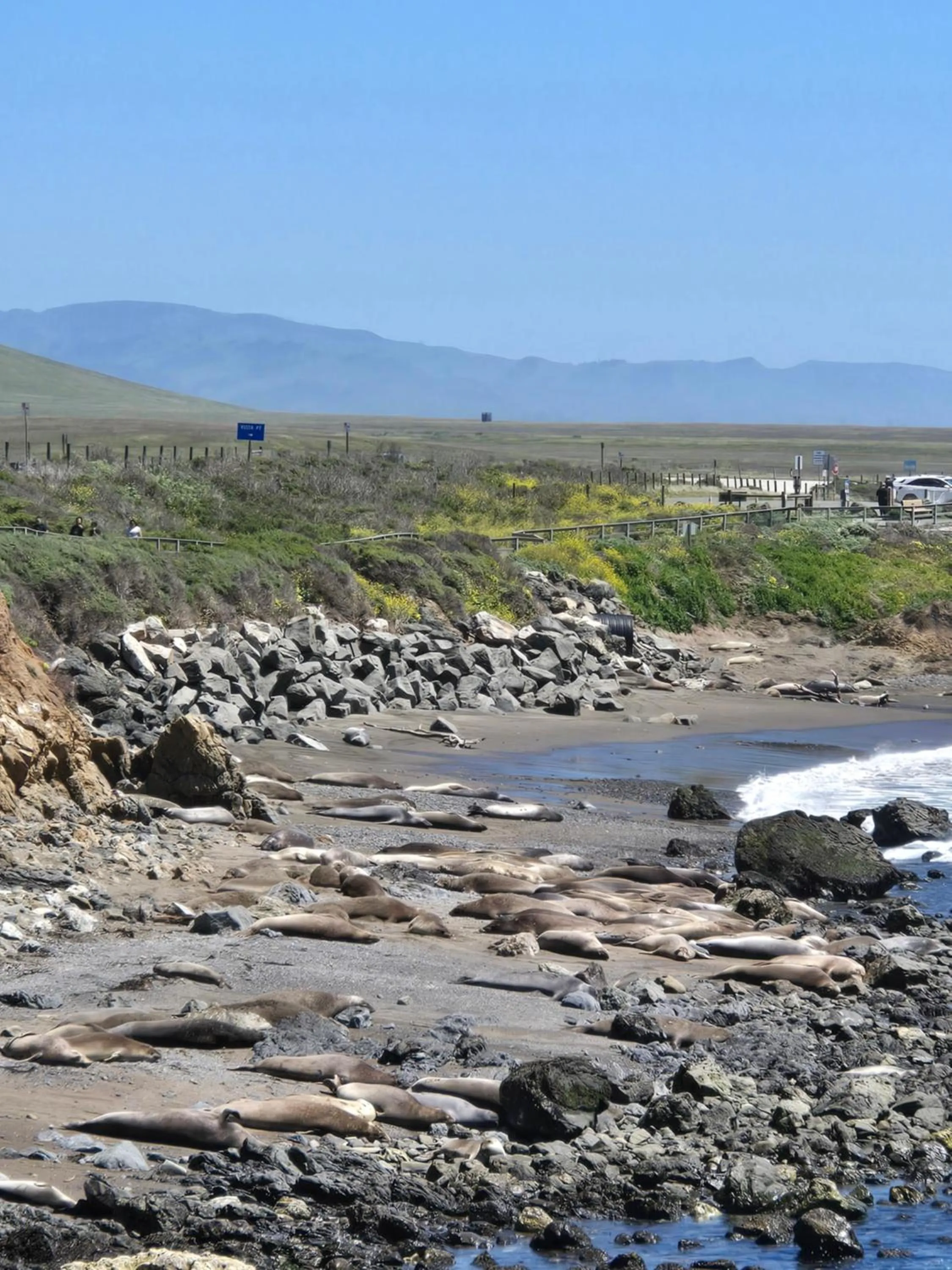 Off site in Coast Riders Inn