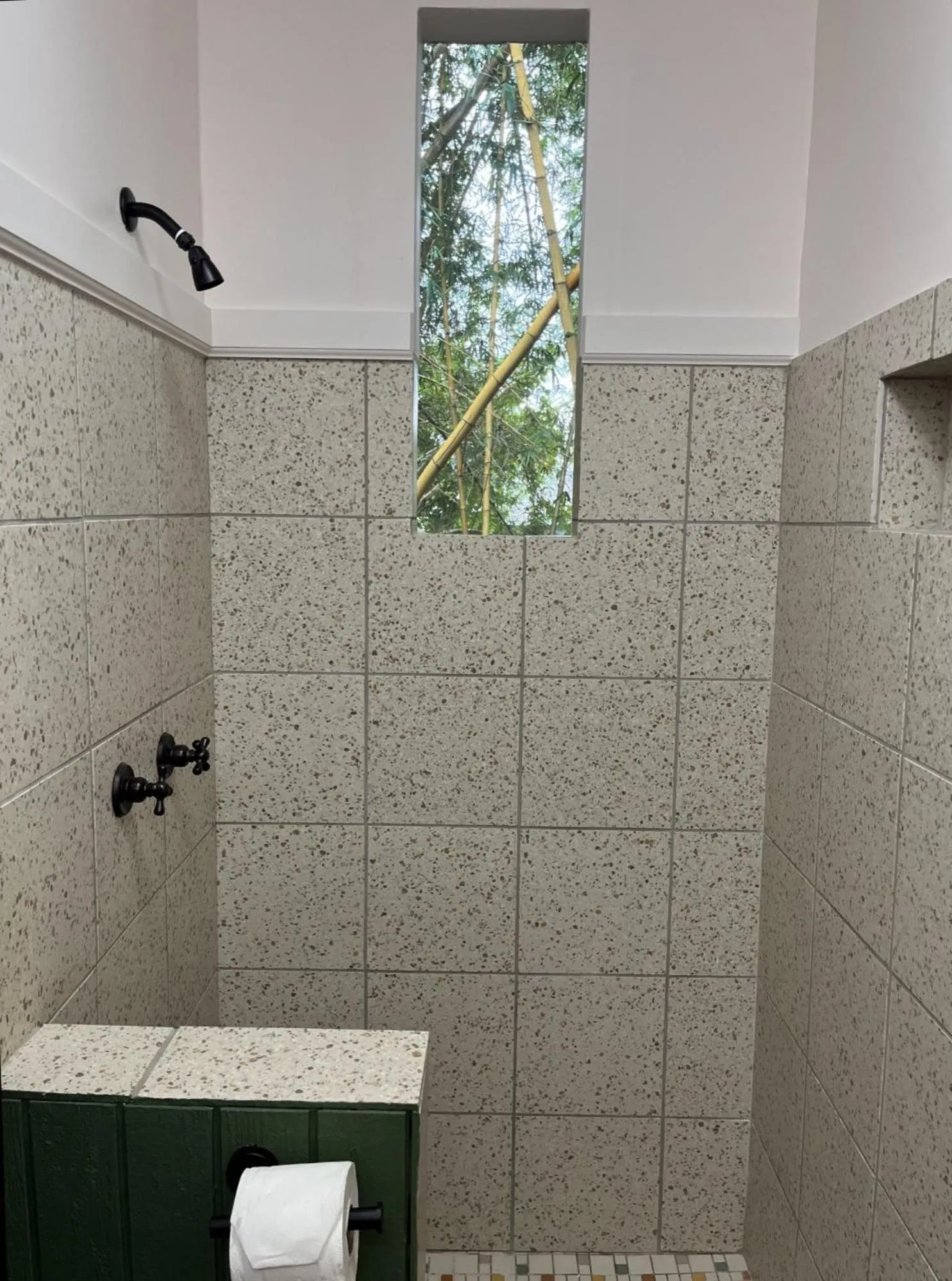 Shower in Wild Ginger Hotel