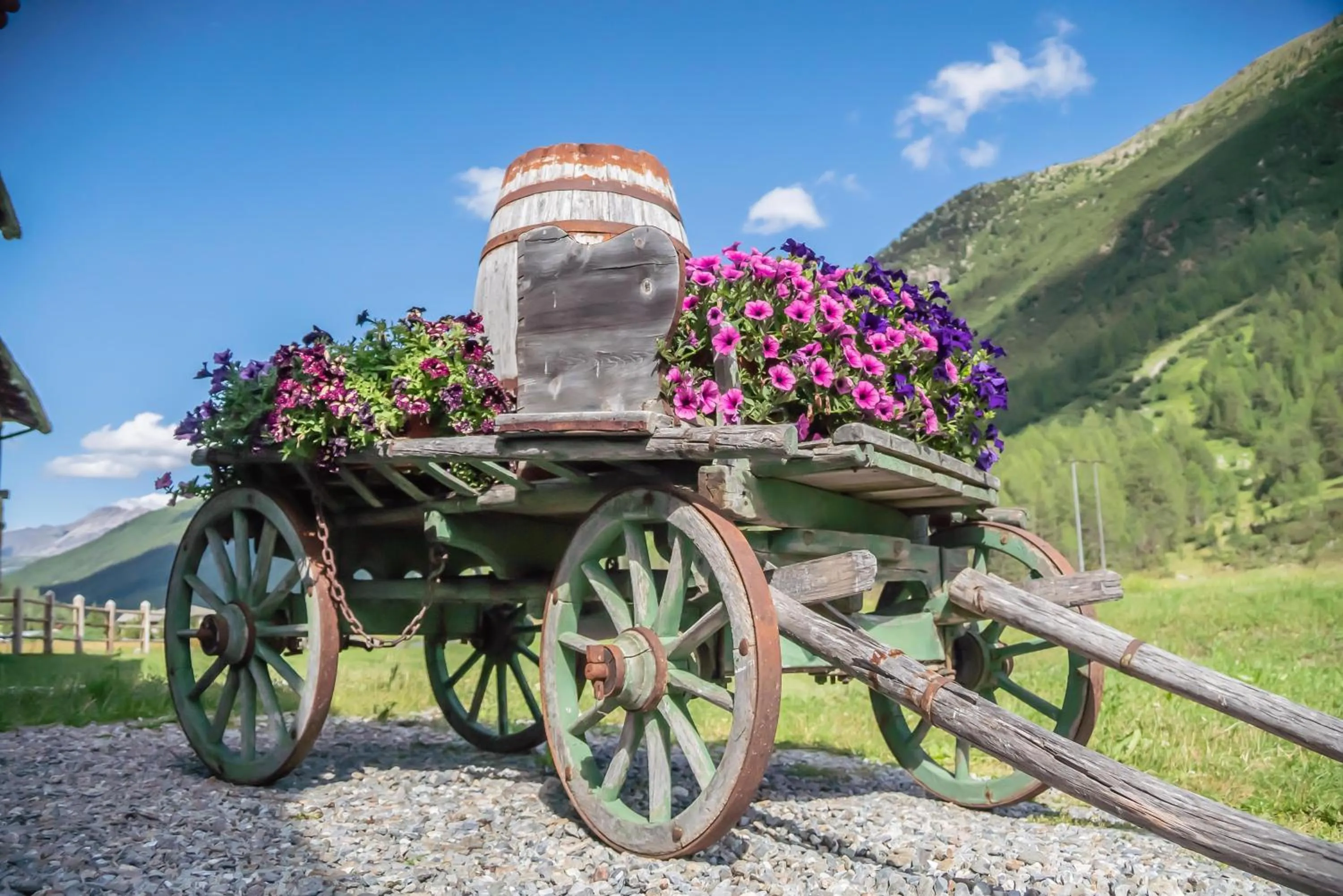Garden in Bed & Breakfast Campaciol