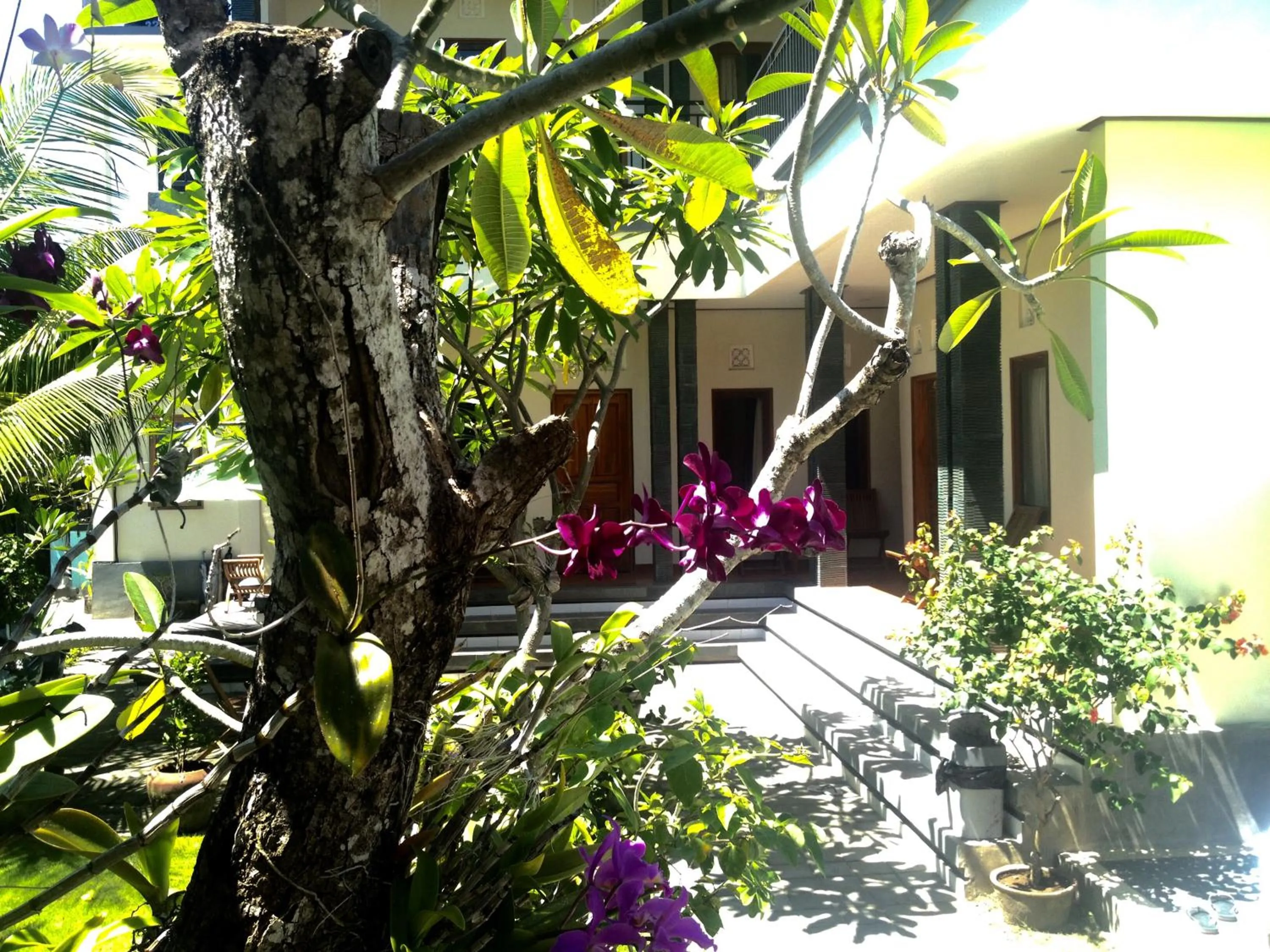 Garden in Puri Clinton Bali