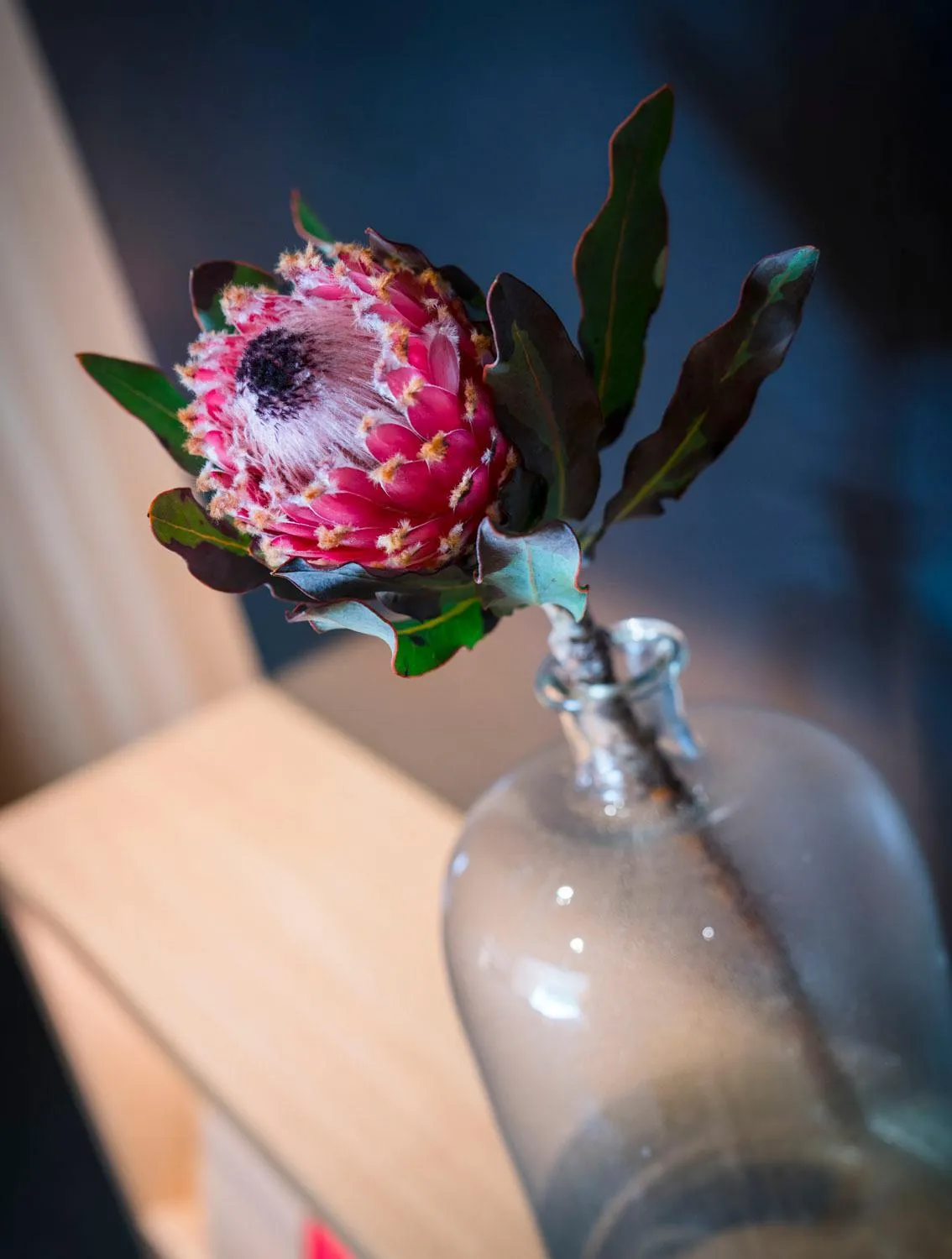 Property building in freiraum Apartments