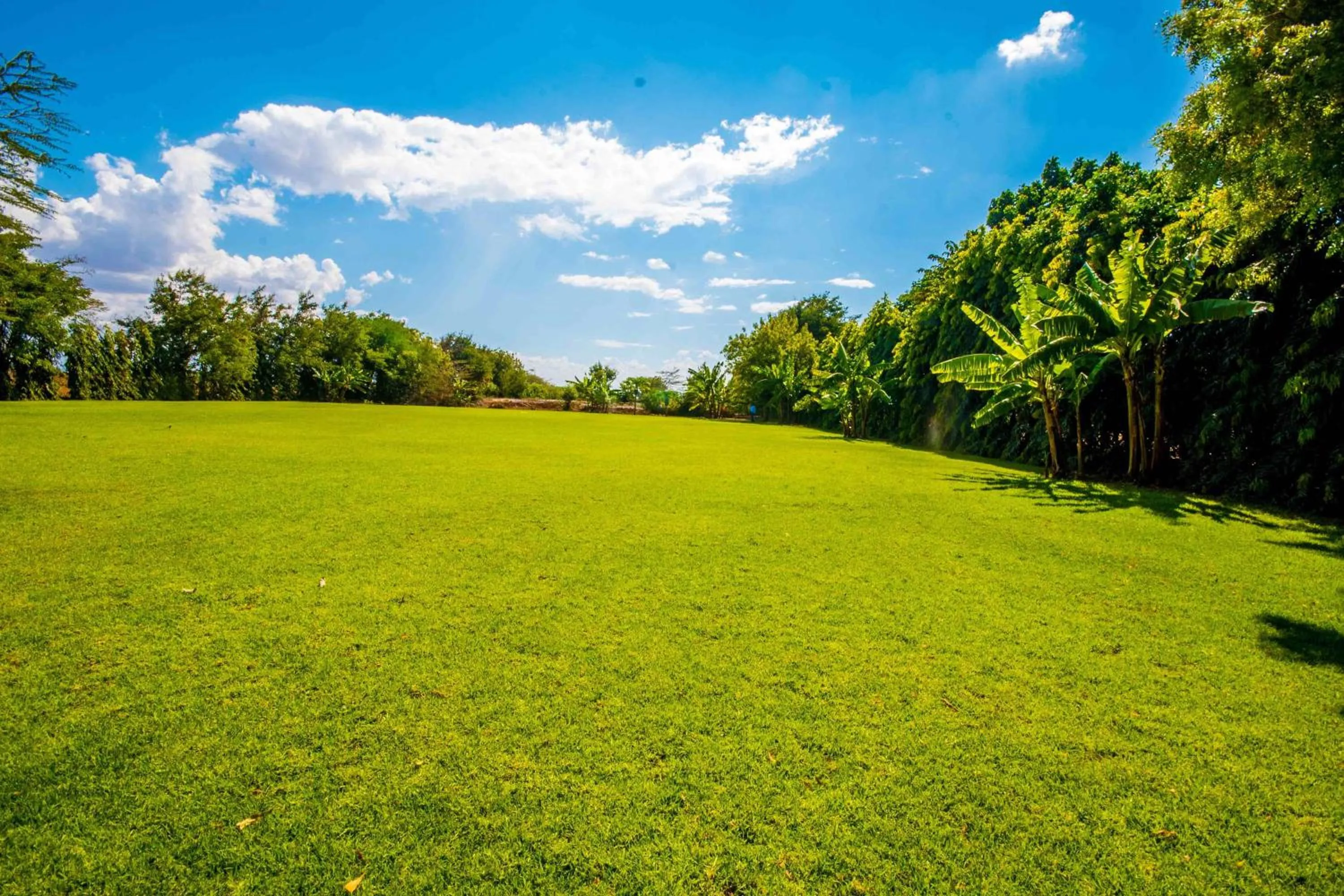 Panone Hotel-Chekereni