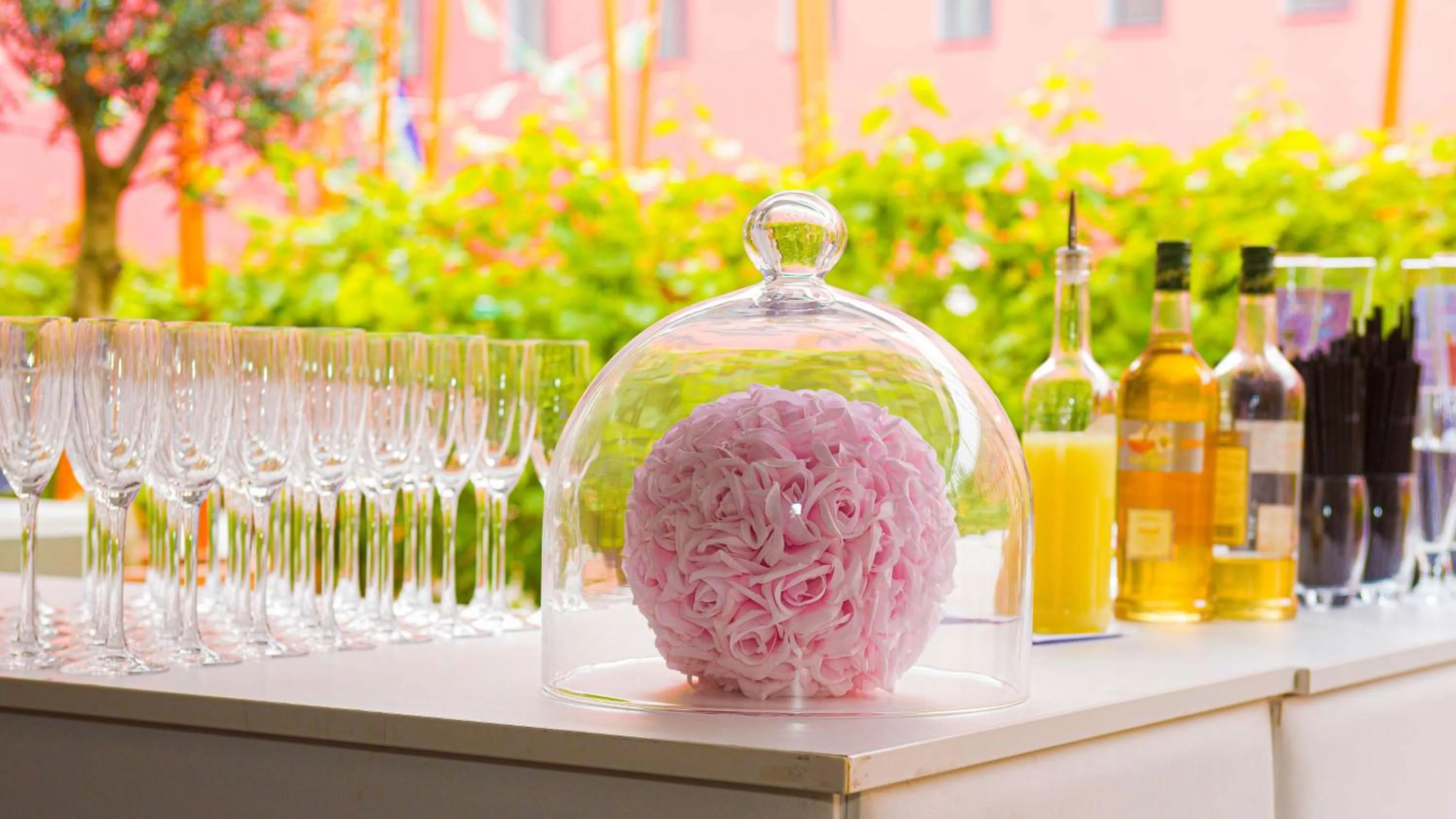 wedding in Radisson Blu Hotel Toulouse Airport