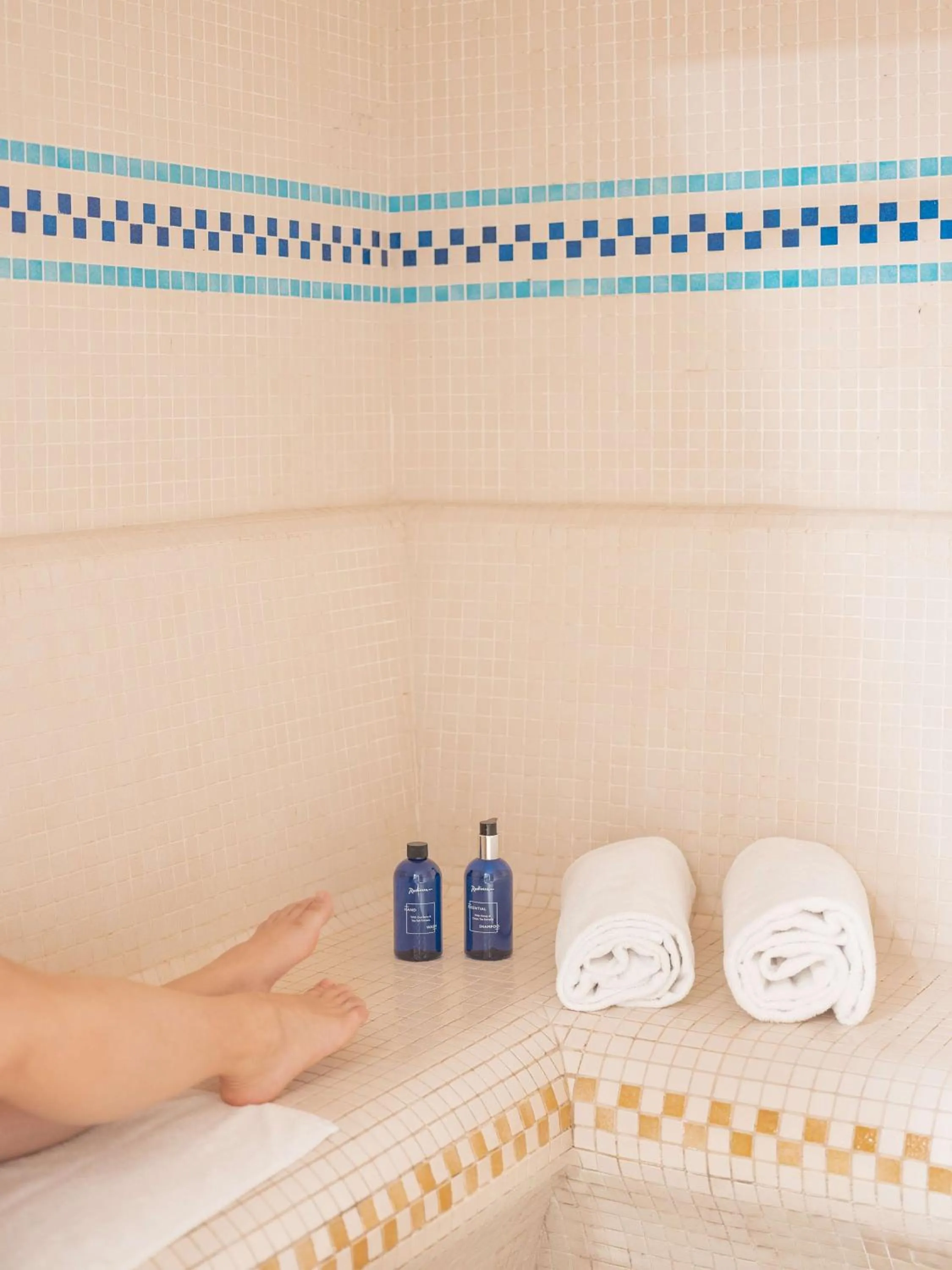 Steam room in Radisson Blu Hotel Toulouse Airport