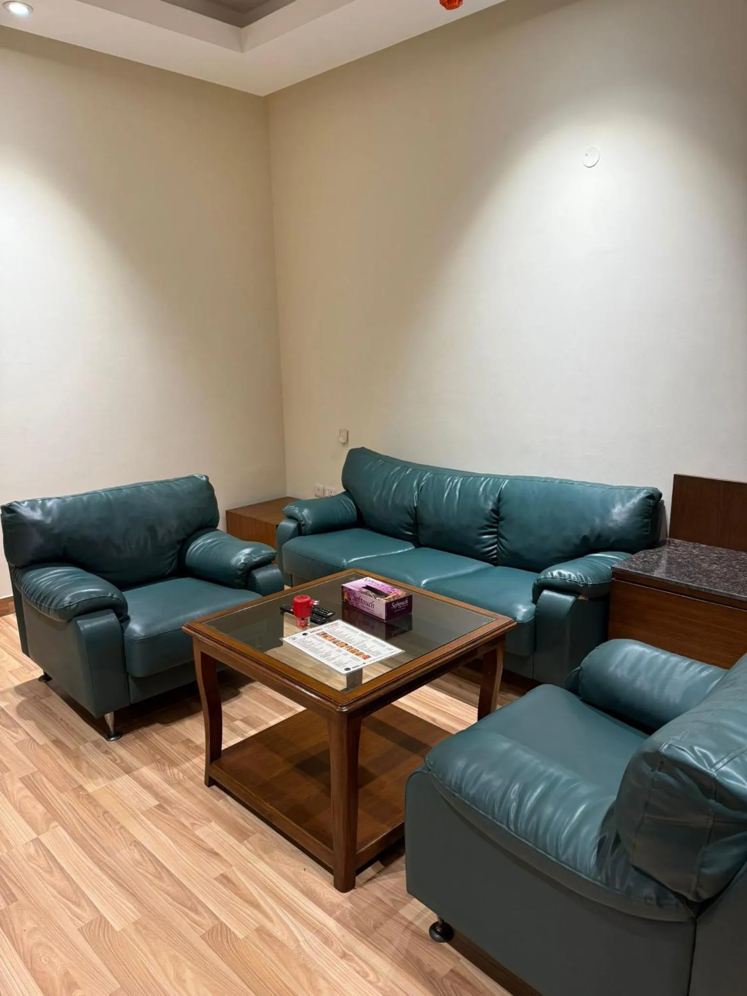 Lounge or bar in UDS Villa Scandinavian - Next to VFS, Walking to Connaught Place