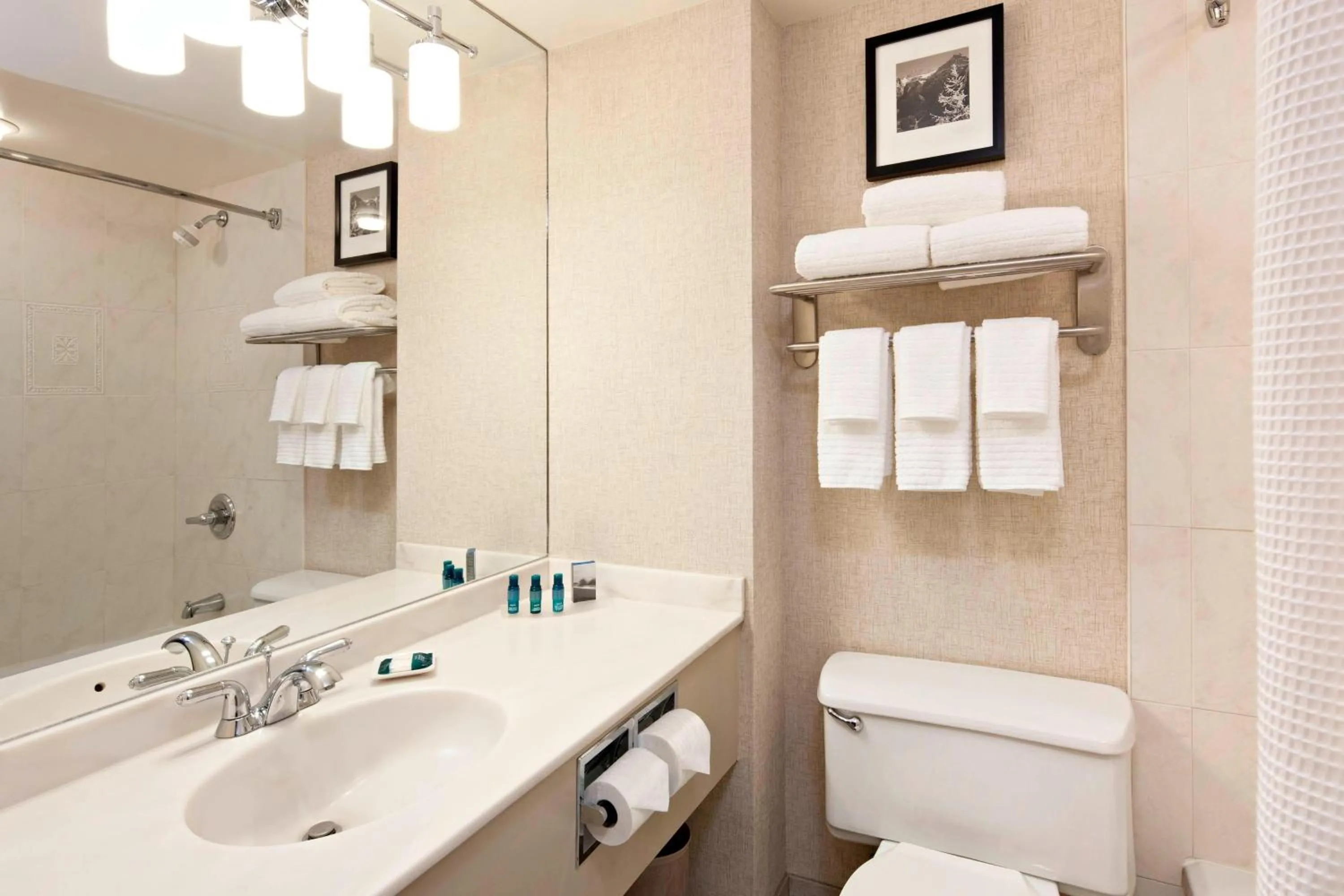 Bathroom in Delta Hotels Calgary Airport In-Terminal