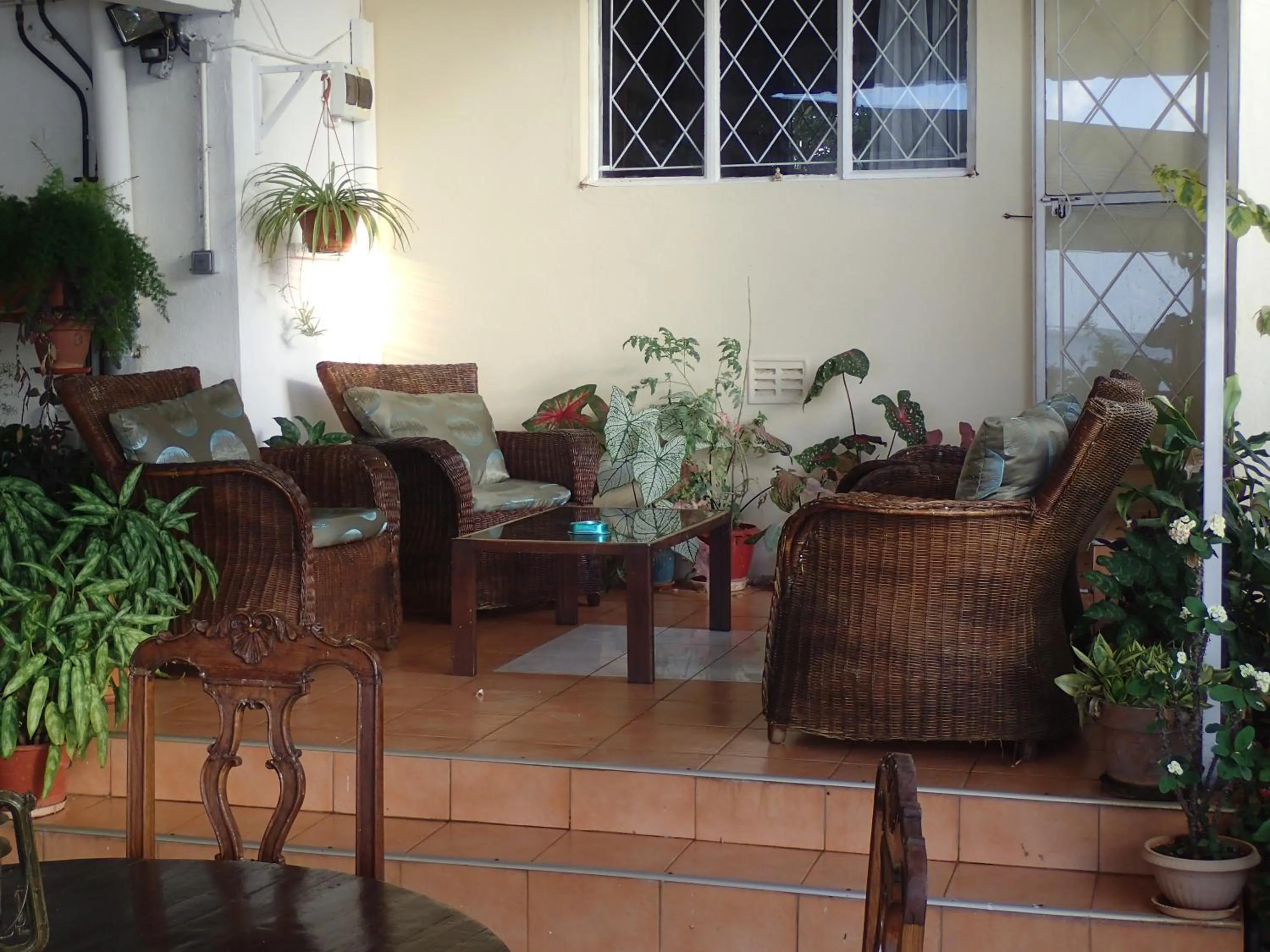 Le cactus guesthouse