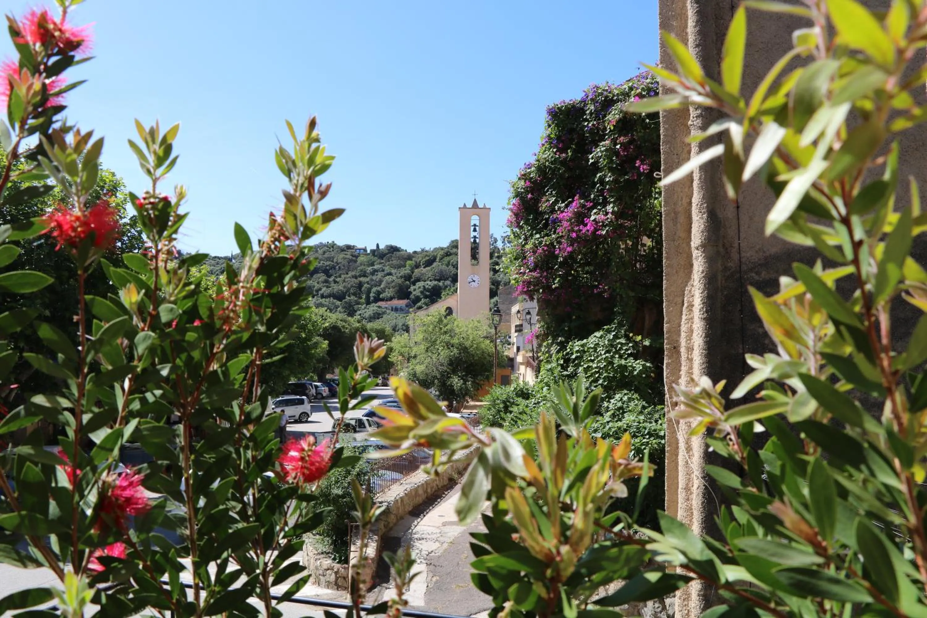 Natural landscape in A Pasturella