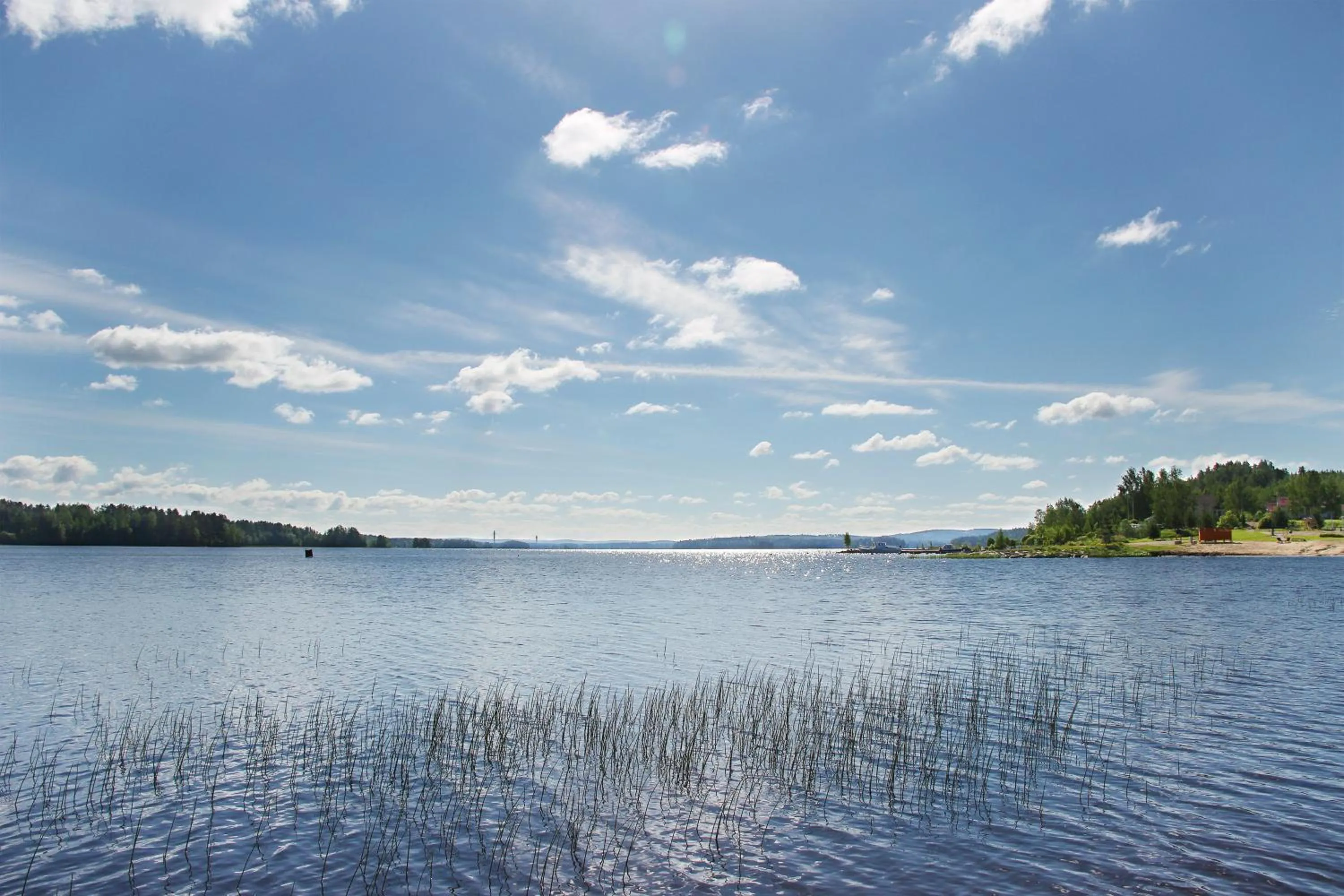 Natural landscape in Summer Hotel Tähtelä, Alkio-opisto