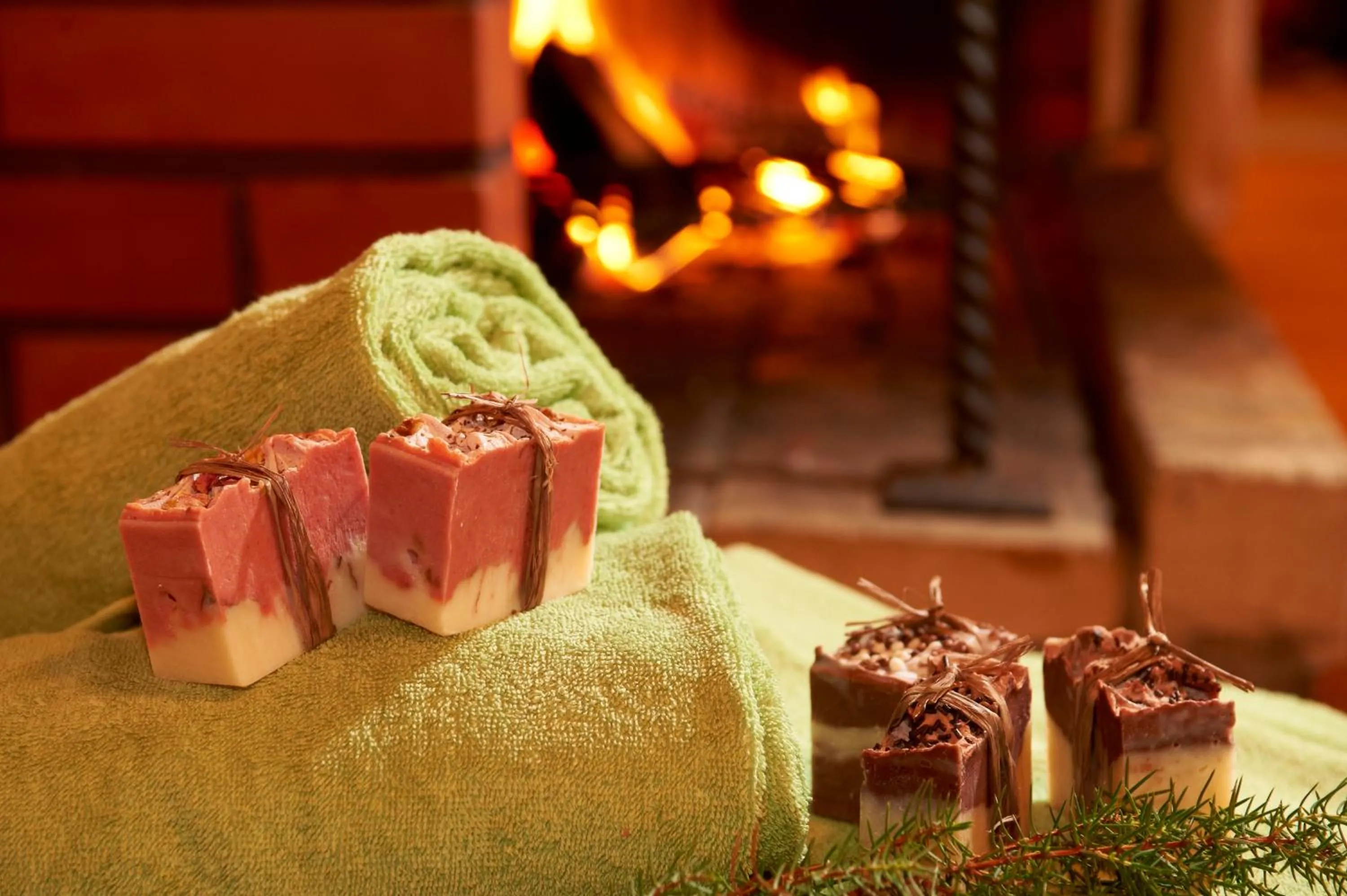 Food in Summer Hotel Tähtelä, Alkio-opisto