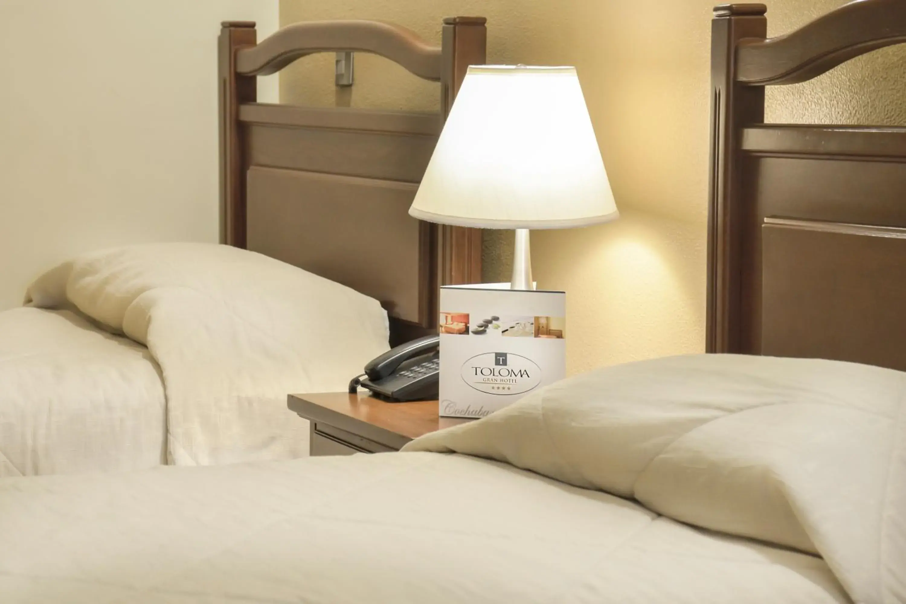 Twin Room in Gran Hotel Toloma Twin Room in Gran Hotel Toloma