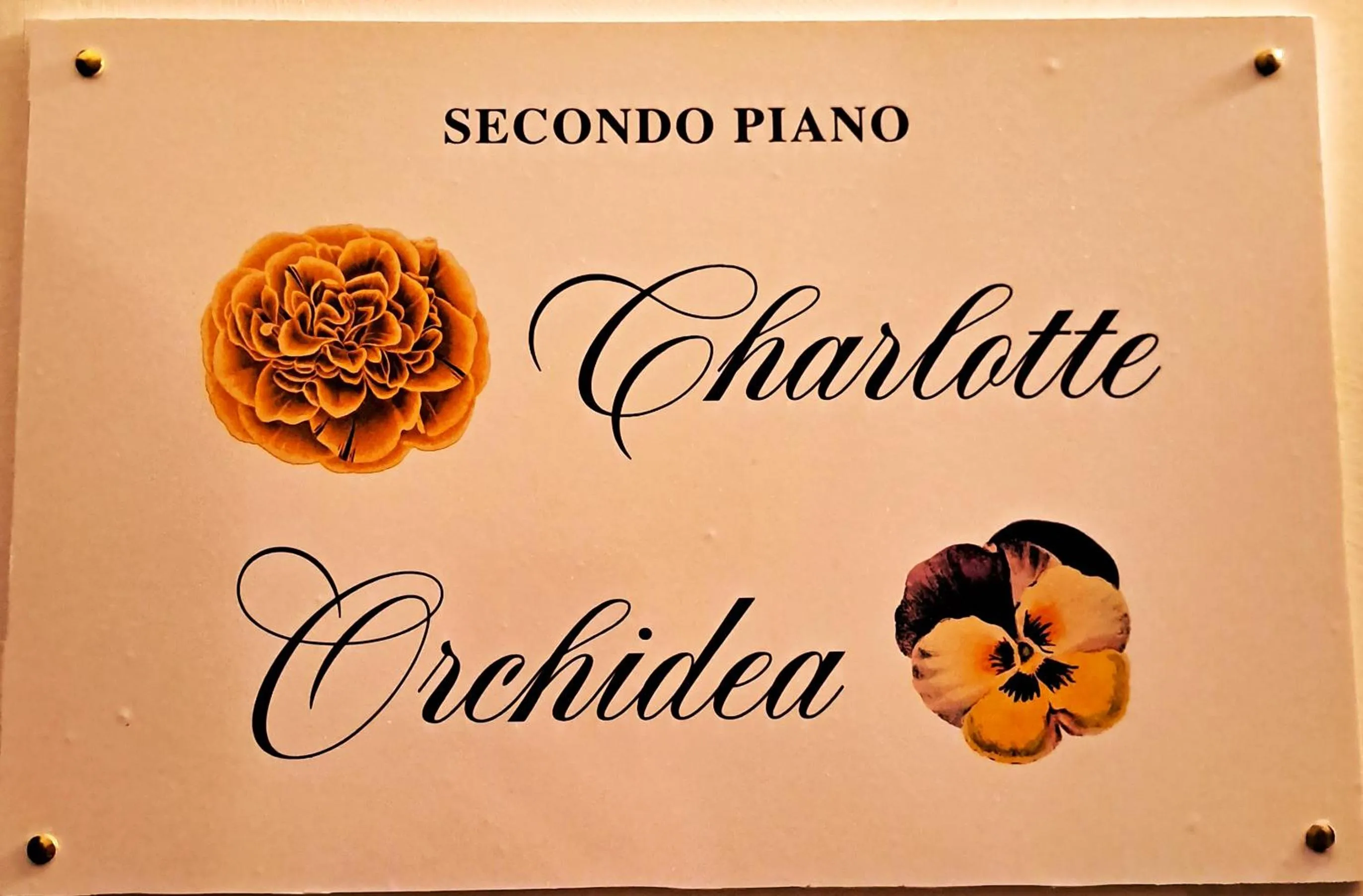 Logo/Certificate/Sign in Bed And Breakfast Camere Primavera