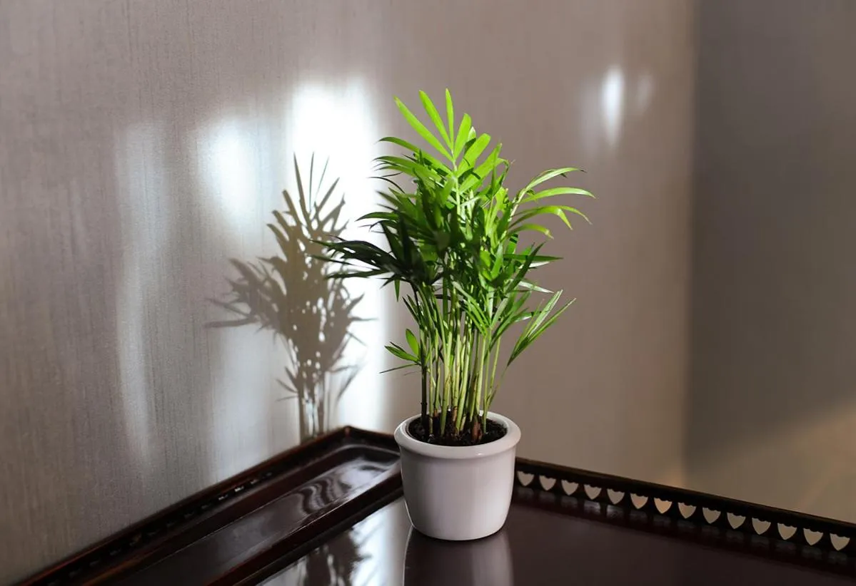 Decorative detail in Hotel Palmenhof