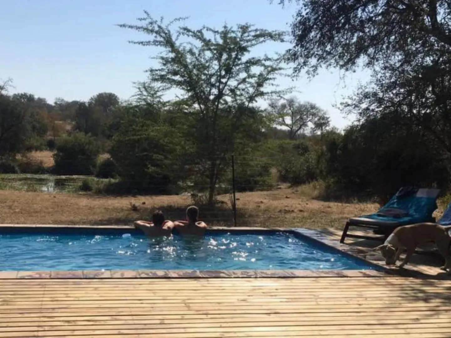 Swimming pool in Zazu Private Bush Lodge, Formerly Masodini