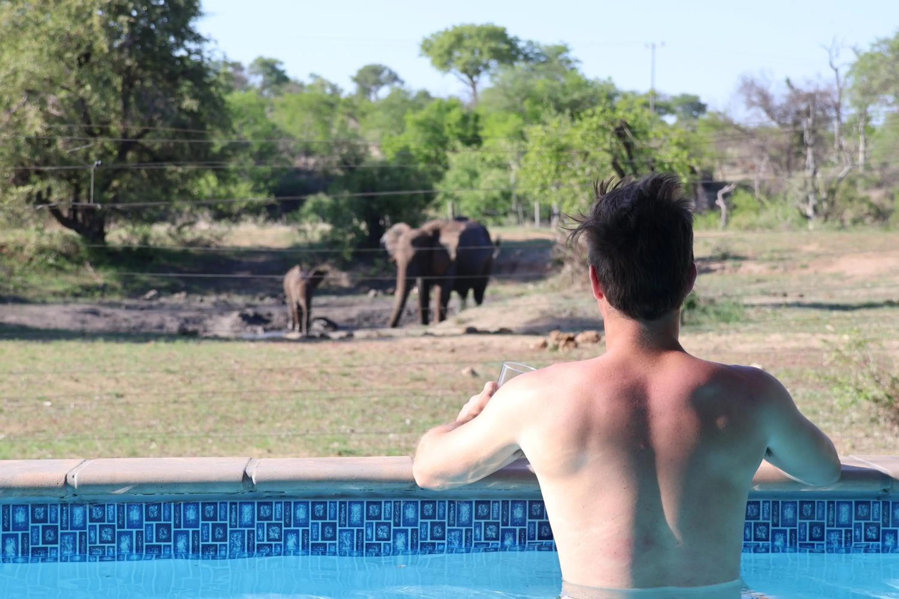 Day in Masodini Game Lodge