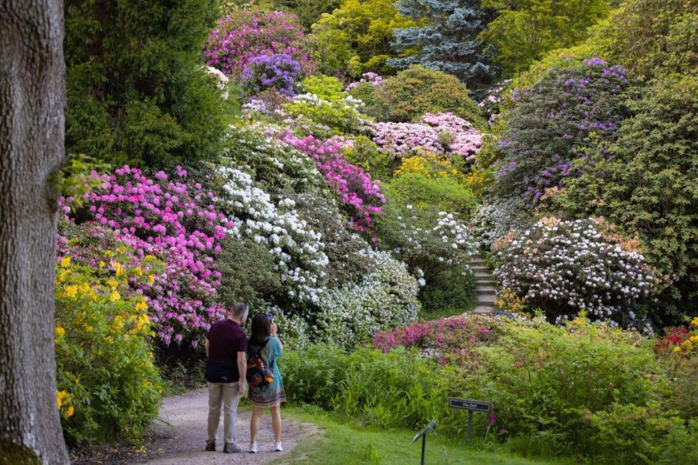 Spring in Leonardslee House at Leonardslee Lakes & Gardens