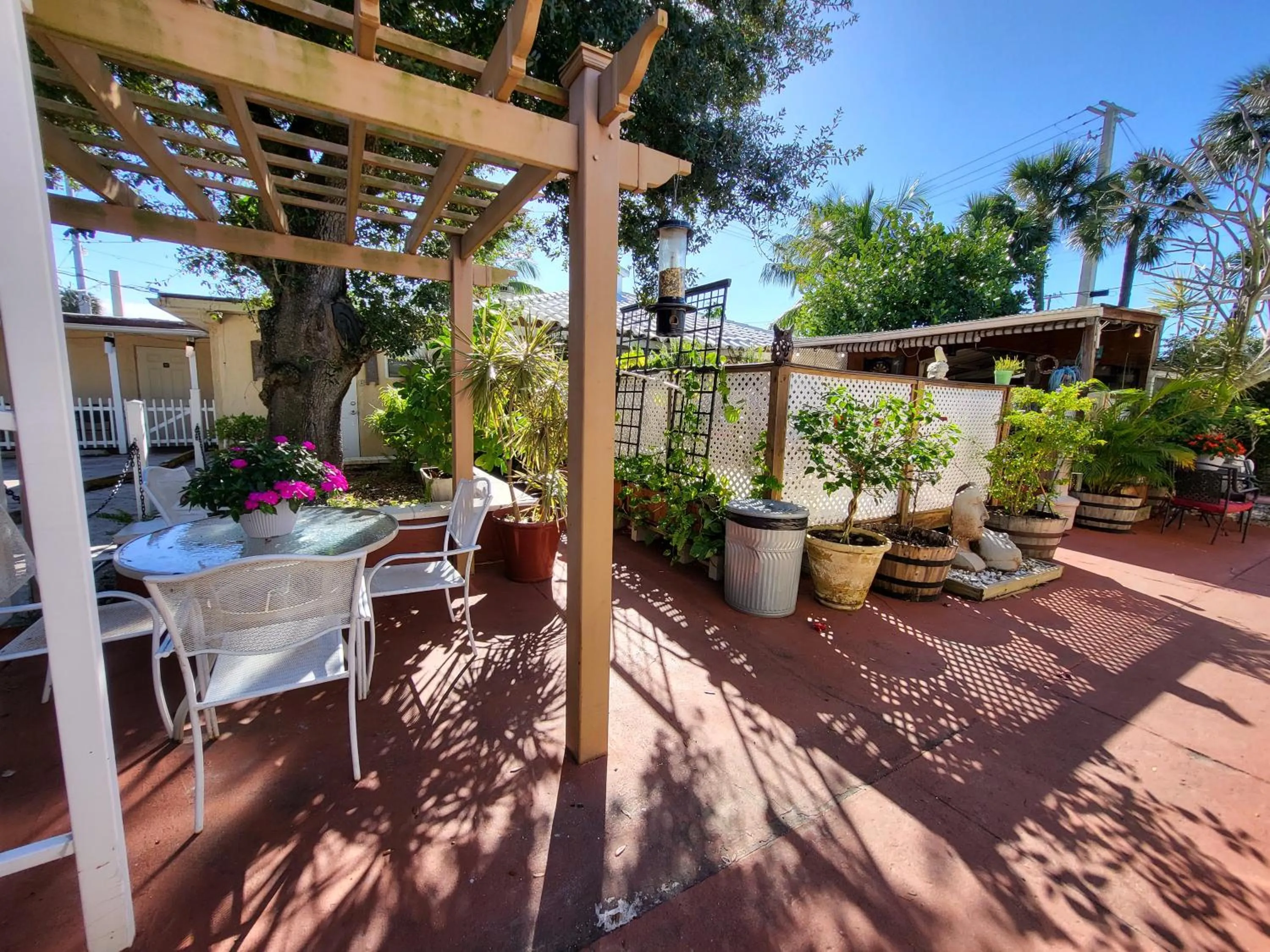 Garden in Barefoot mailman motel